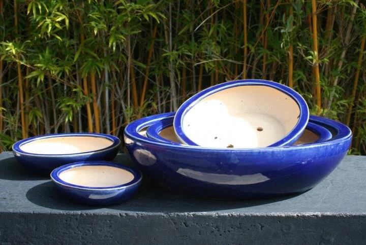 8725_Blue.jpg