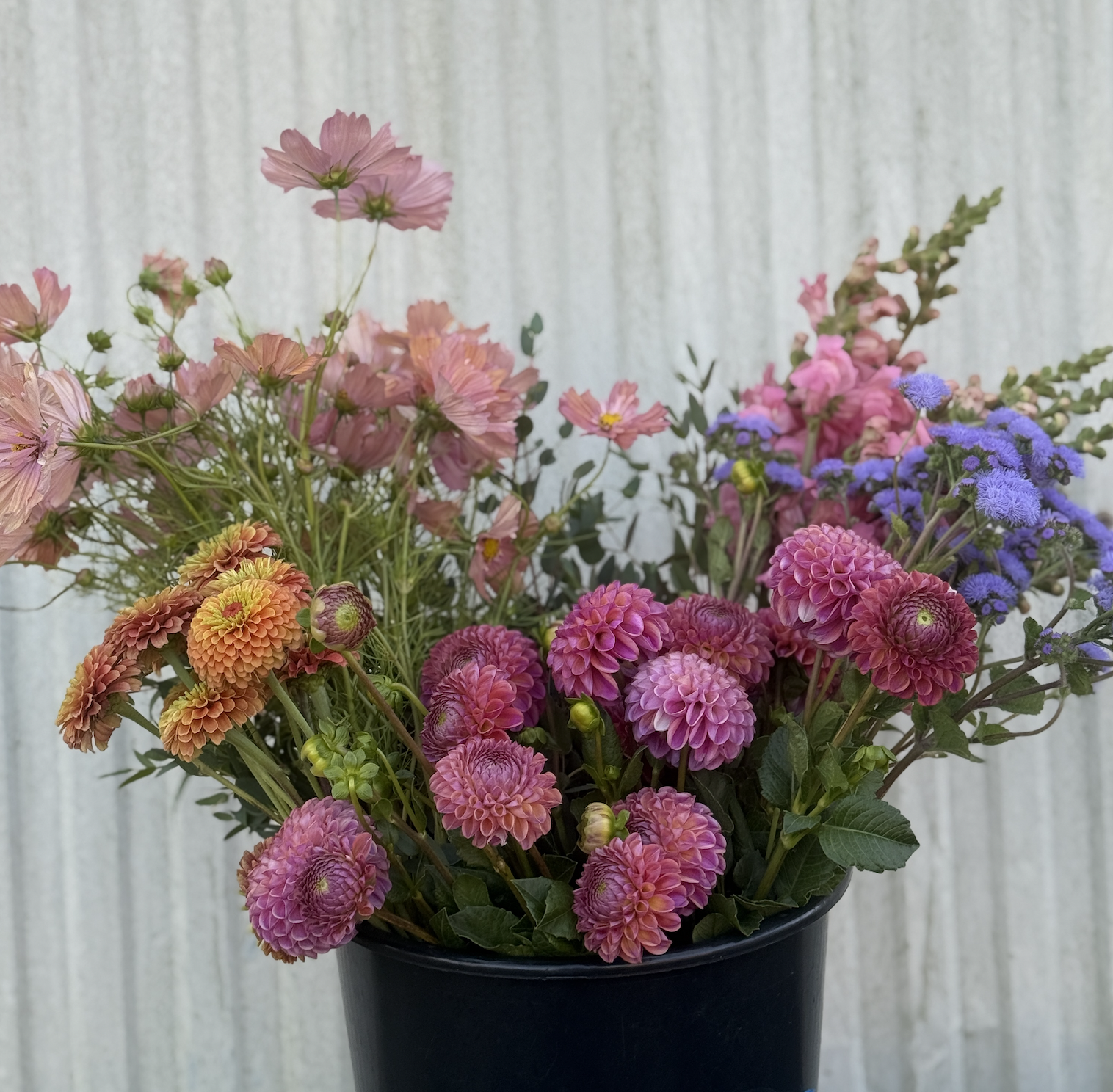 2025 Party Buckets: Bulk Flowers for DIY Decor