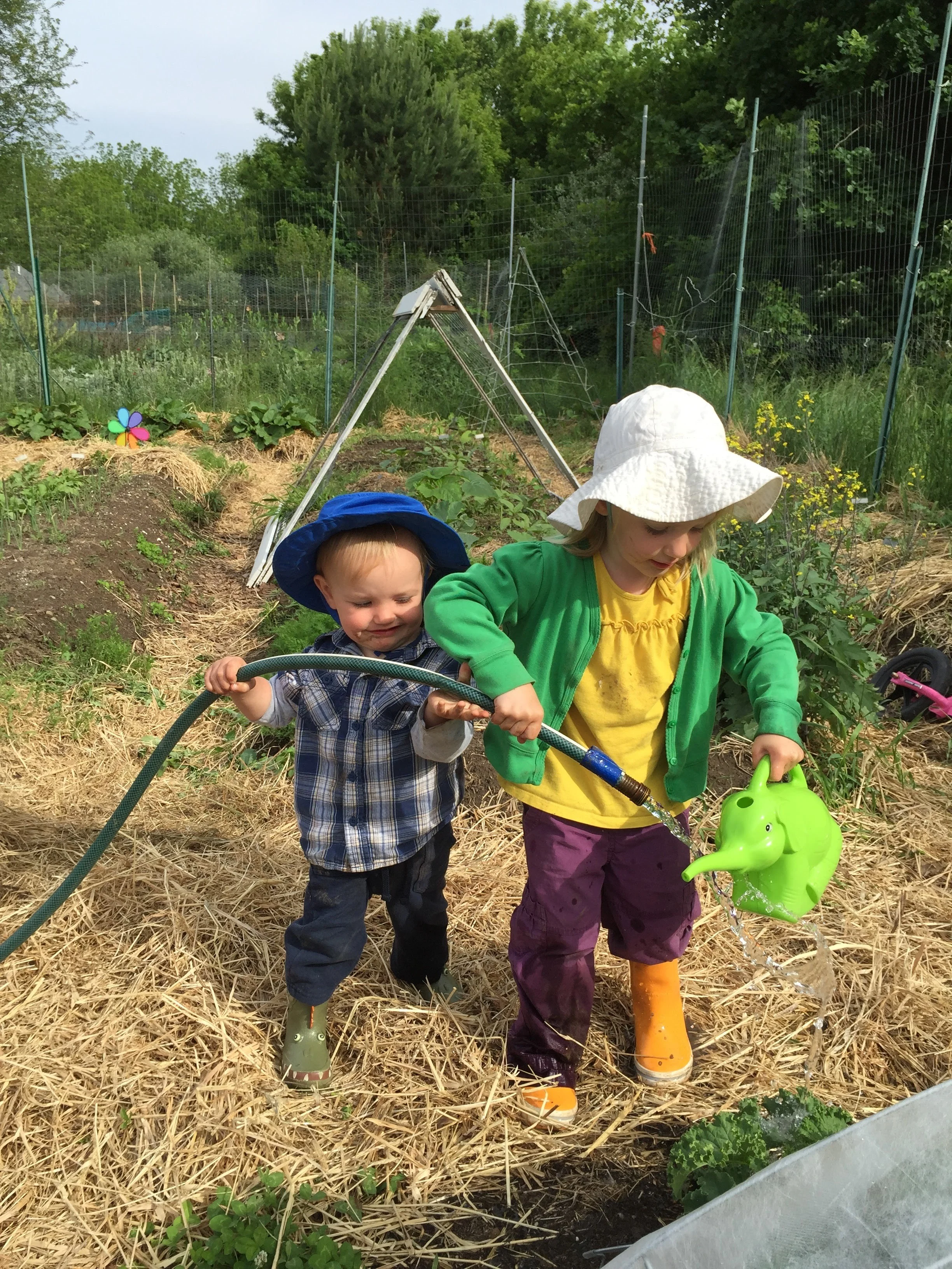 It's February 1st! Family CSA Project is on!