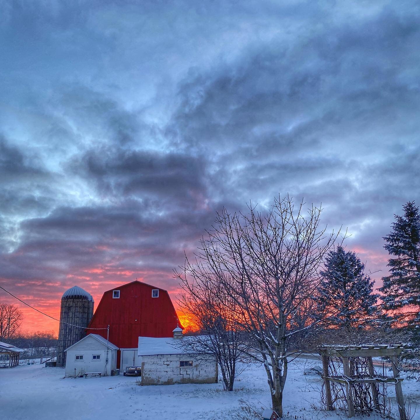 A happy Monday morning to you! I planted 2,000 seeds this weekend, and that small act gave me so much hope! For those of us in the great frozen north, spring Is coming! Vaccines are coming! Seeing our friends! Flowers blooming! Our kids going to scho