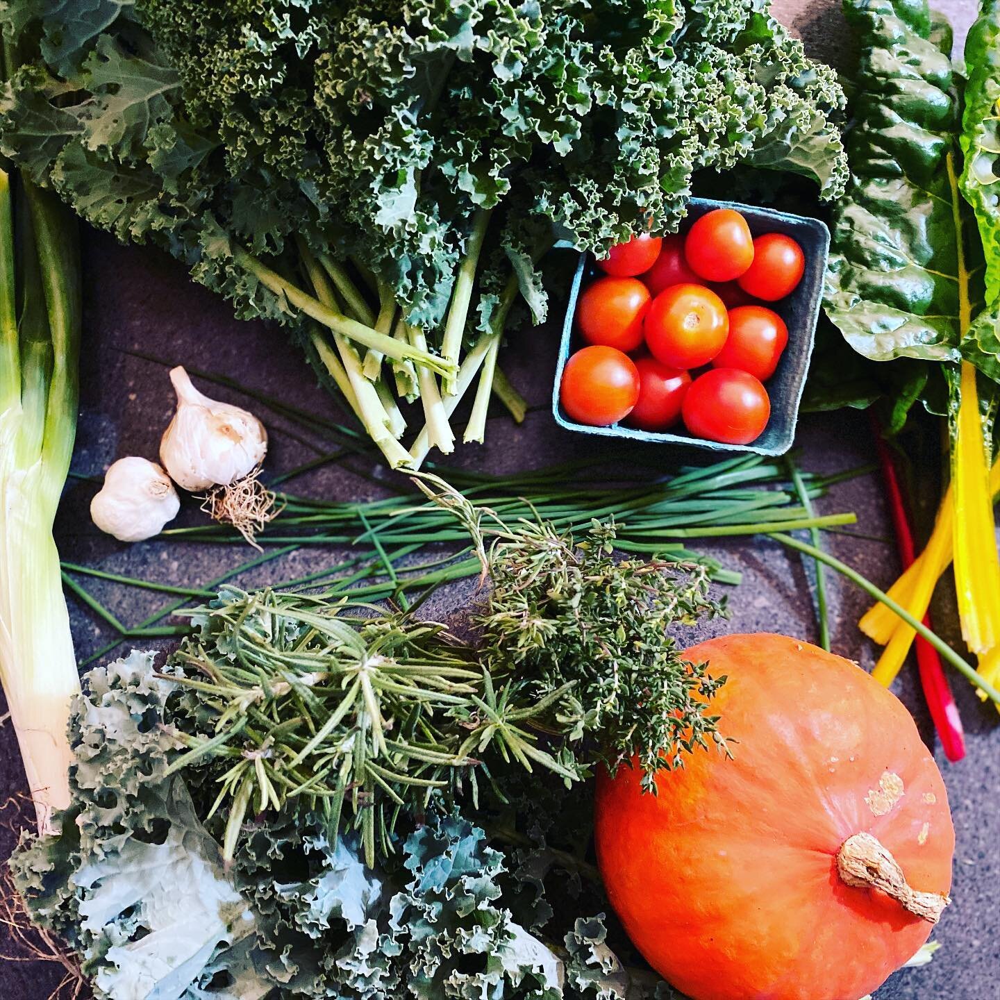 Late season goodness. A few families asked if we would do a fall season CSA, and I said we couldn&rsquo;t expand that direction yet. But when I wandered around the field tonight looking for things to cook, I was surprised by all that is still growing