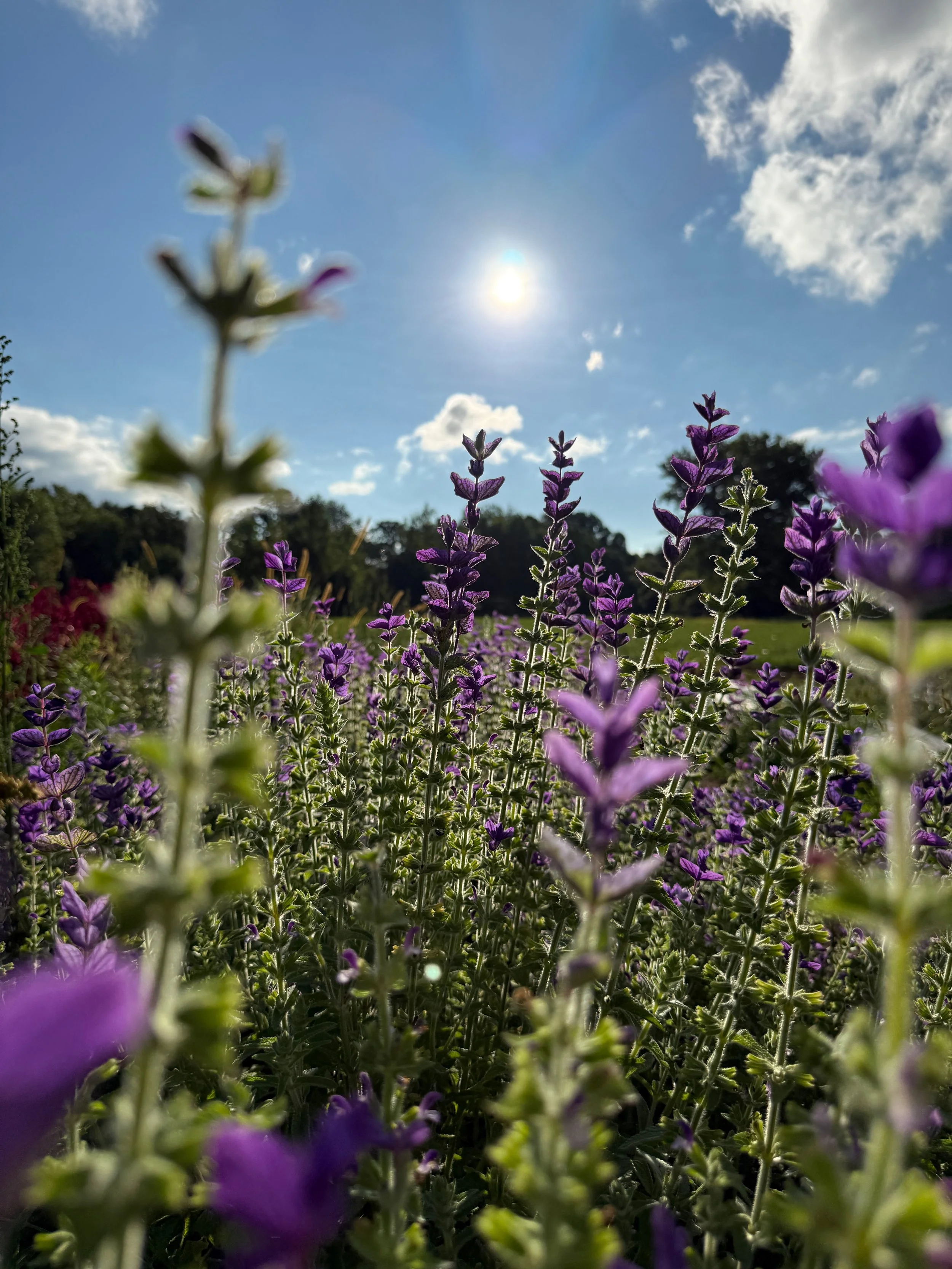 YOU-PICK Marketig - 44 of 91.jpeg