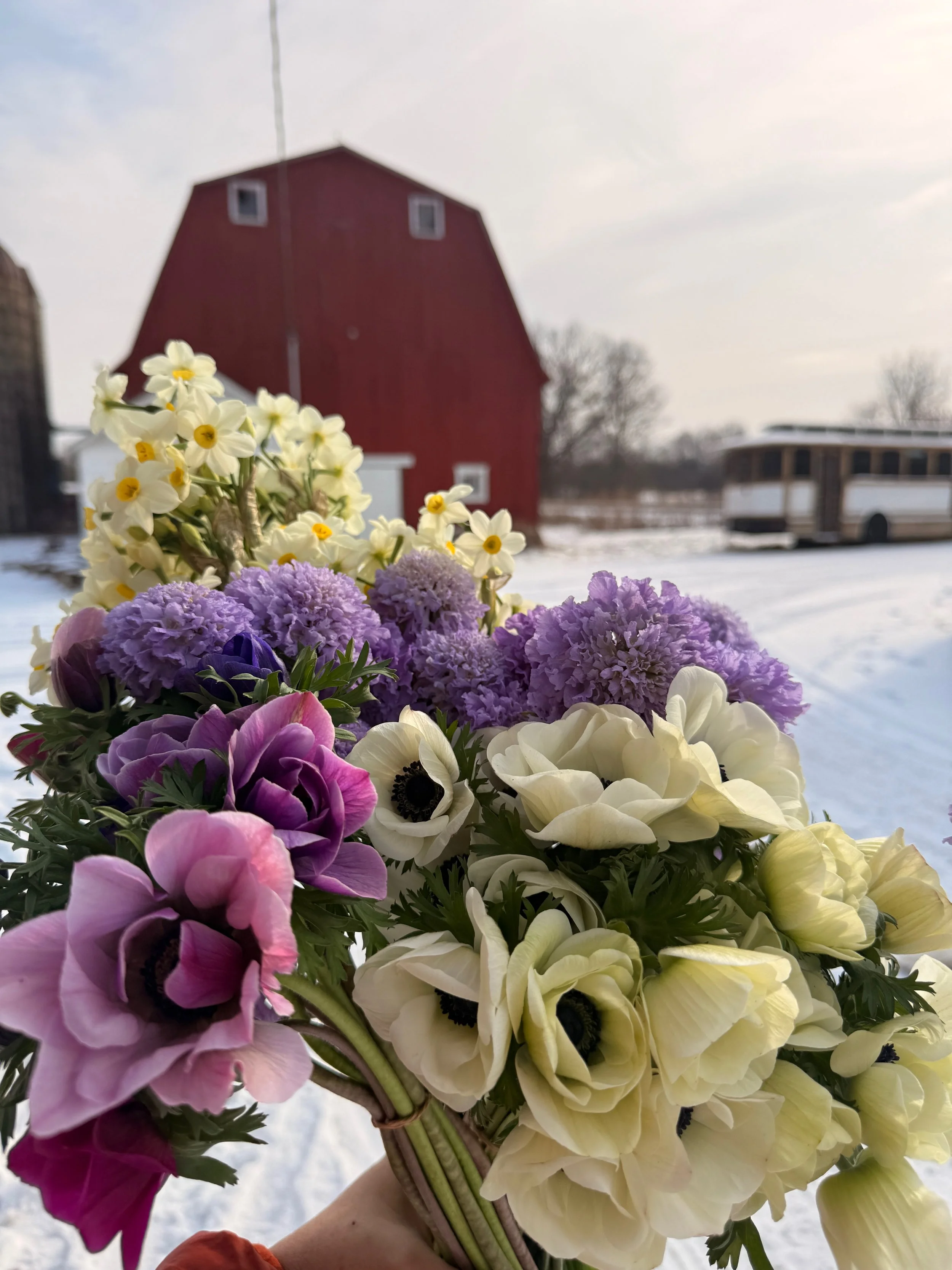 2026 Best Flowers - 1 of 4.jpeg