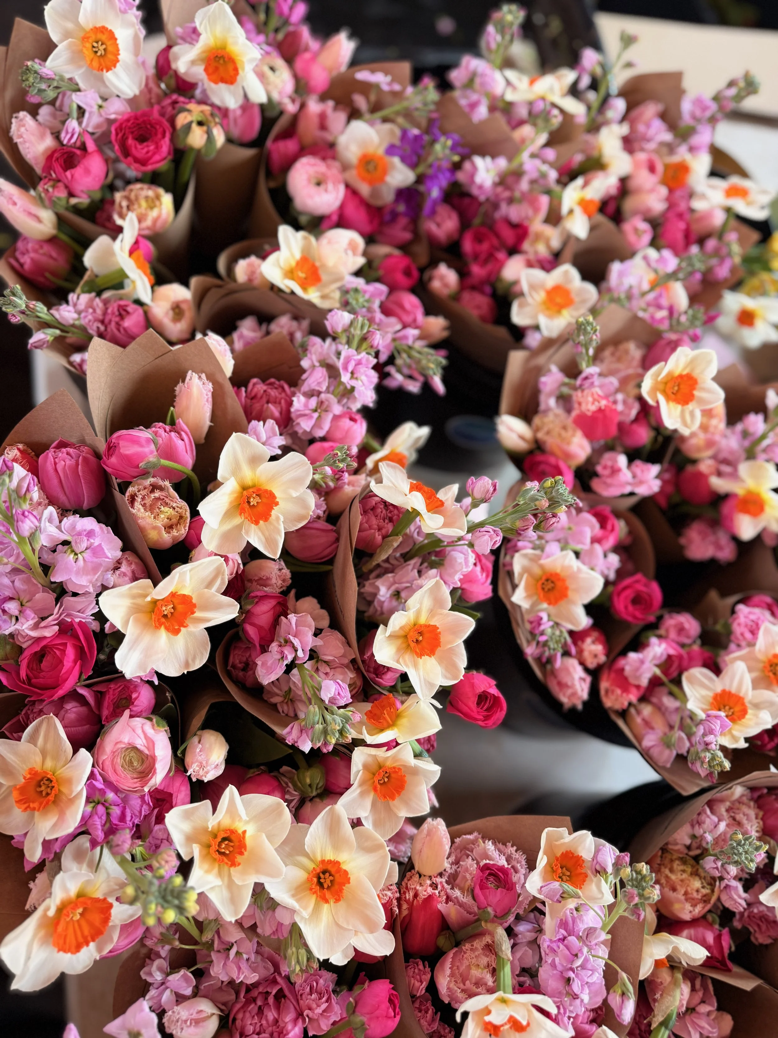 Untitled - 6 of 14.jpeg