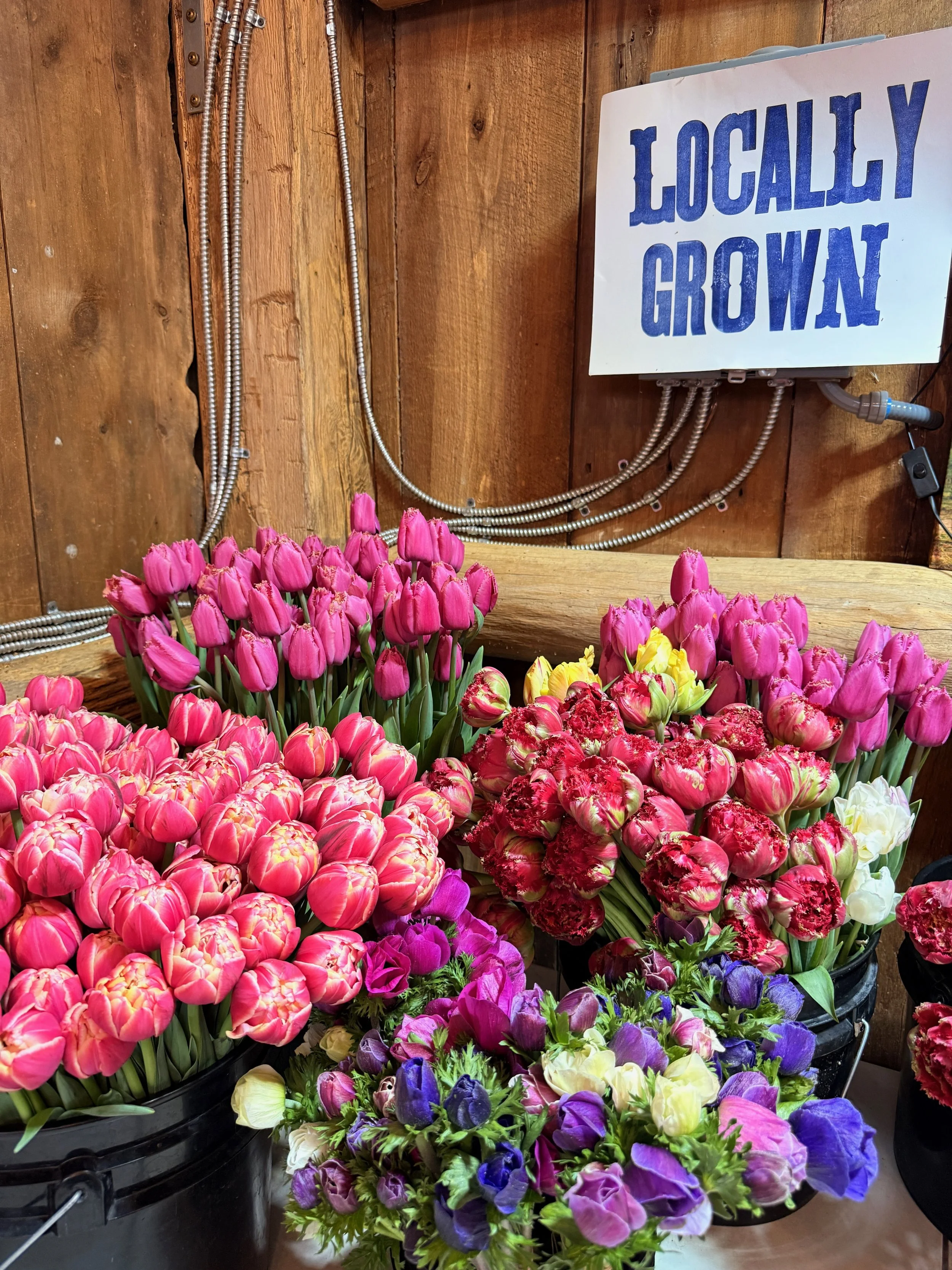 2026 Best Flowers - 4 of 4.jpeg