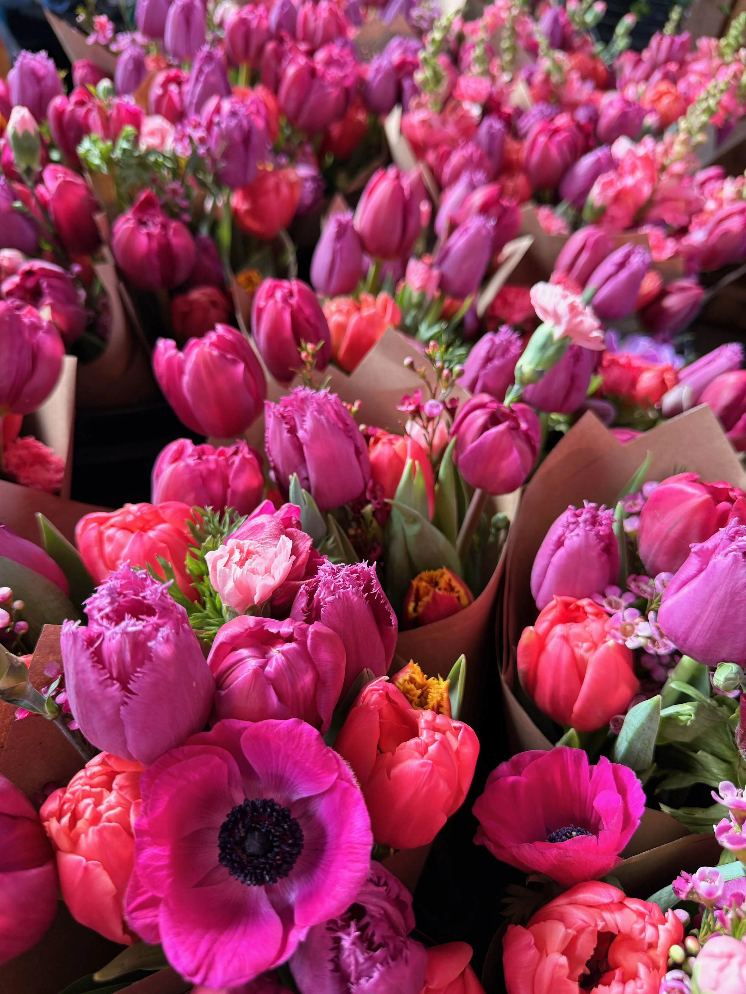 Untitled - 14 of 14.jpeg