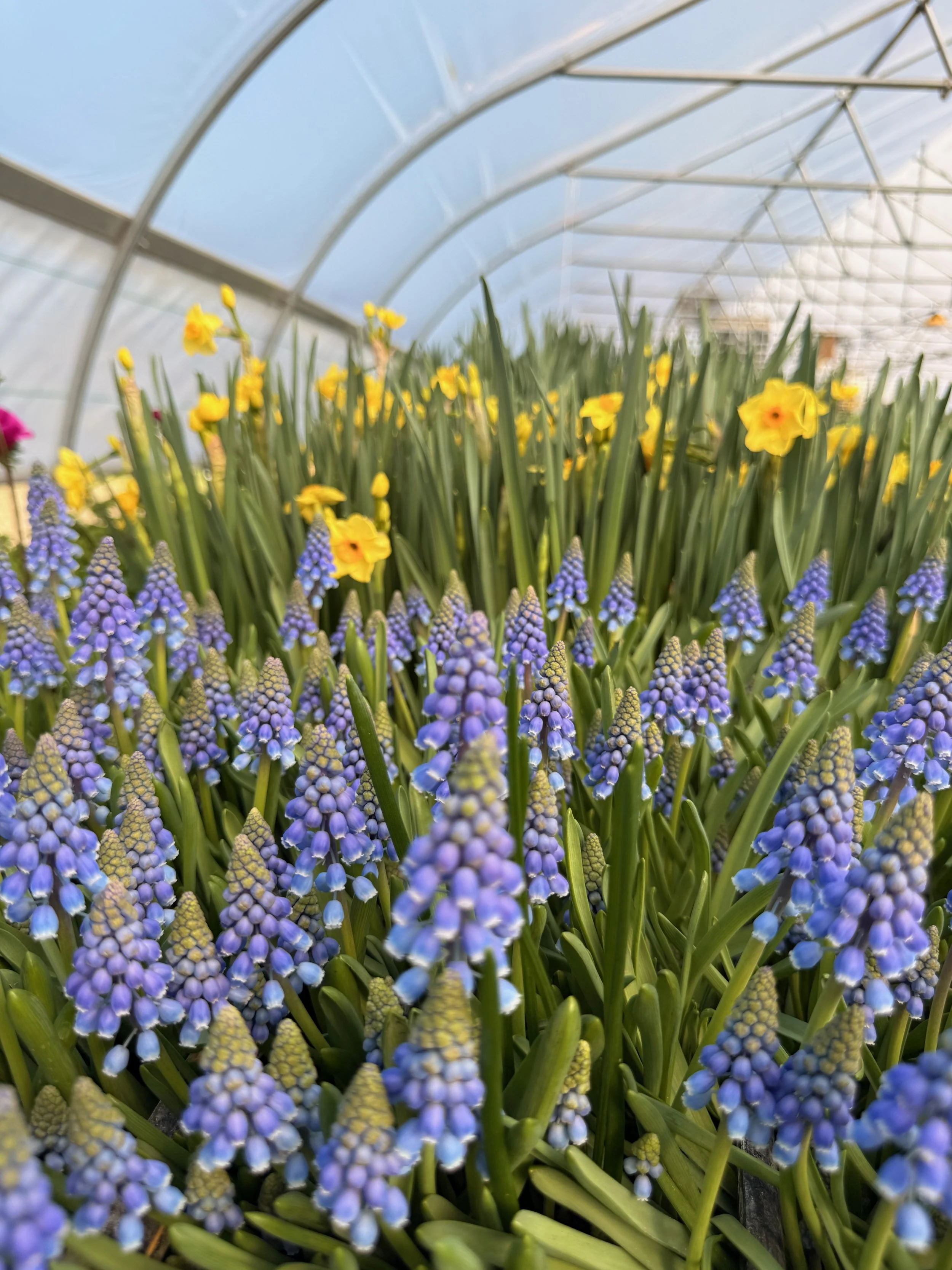 Untitled - 11 of 14.jpeg