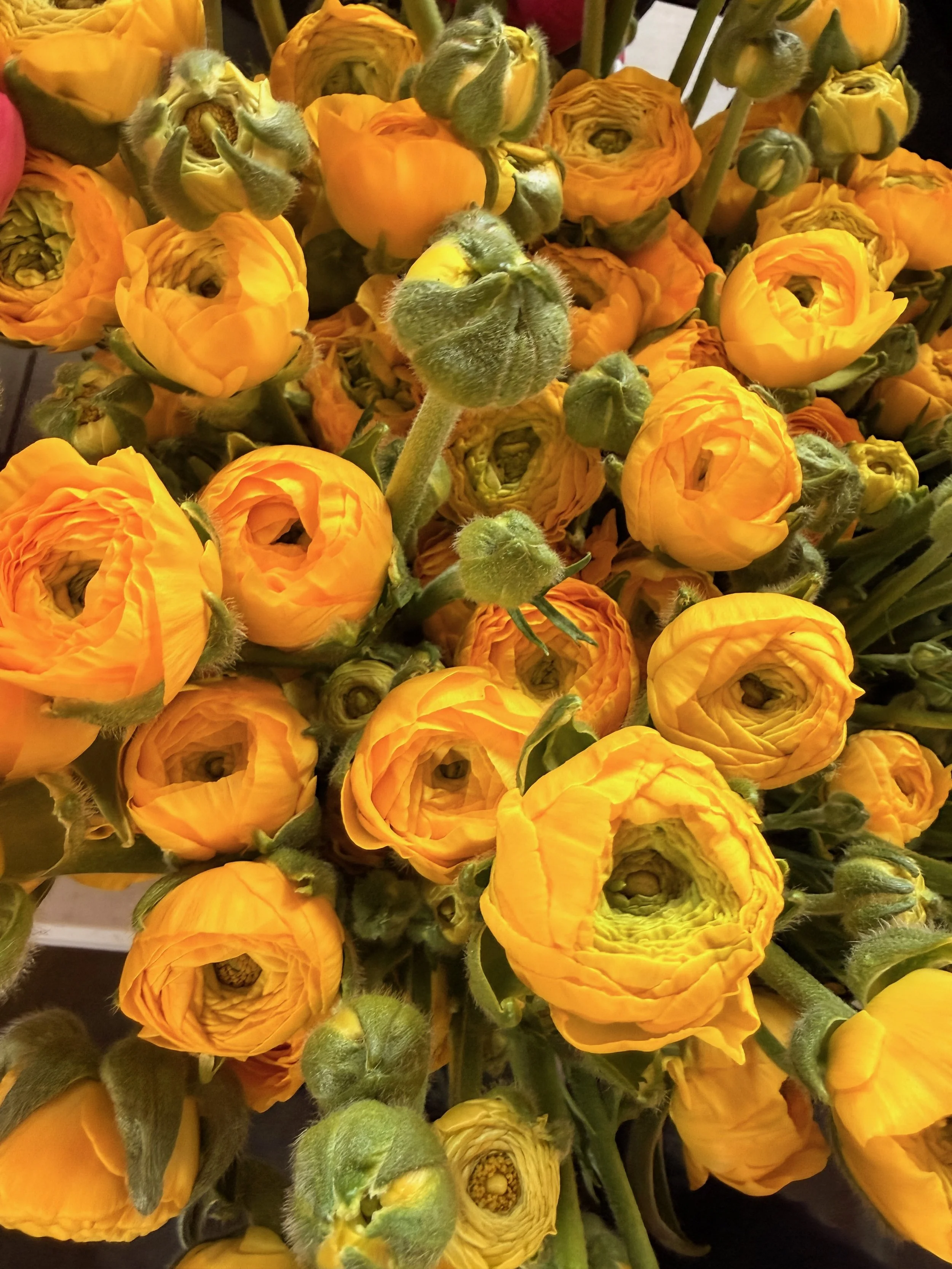 Untitled - 9 of 14.jpeg