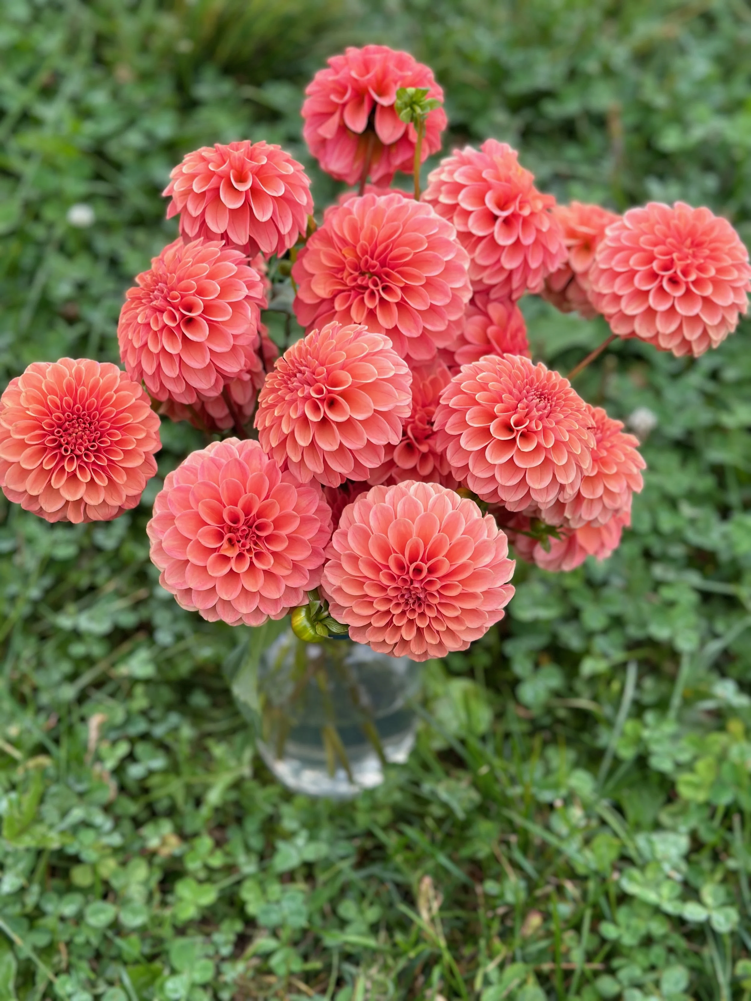 2026 SHARED Florist Photos - 9 of 39.jpg
