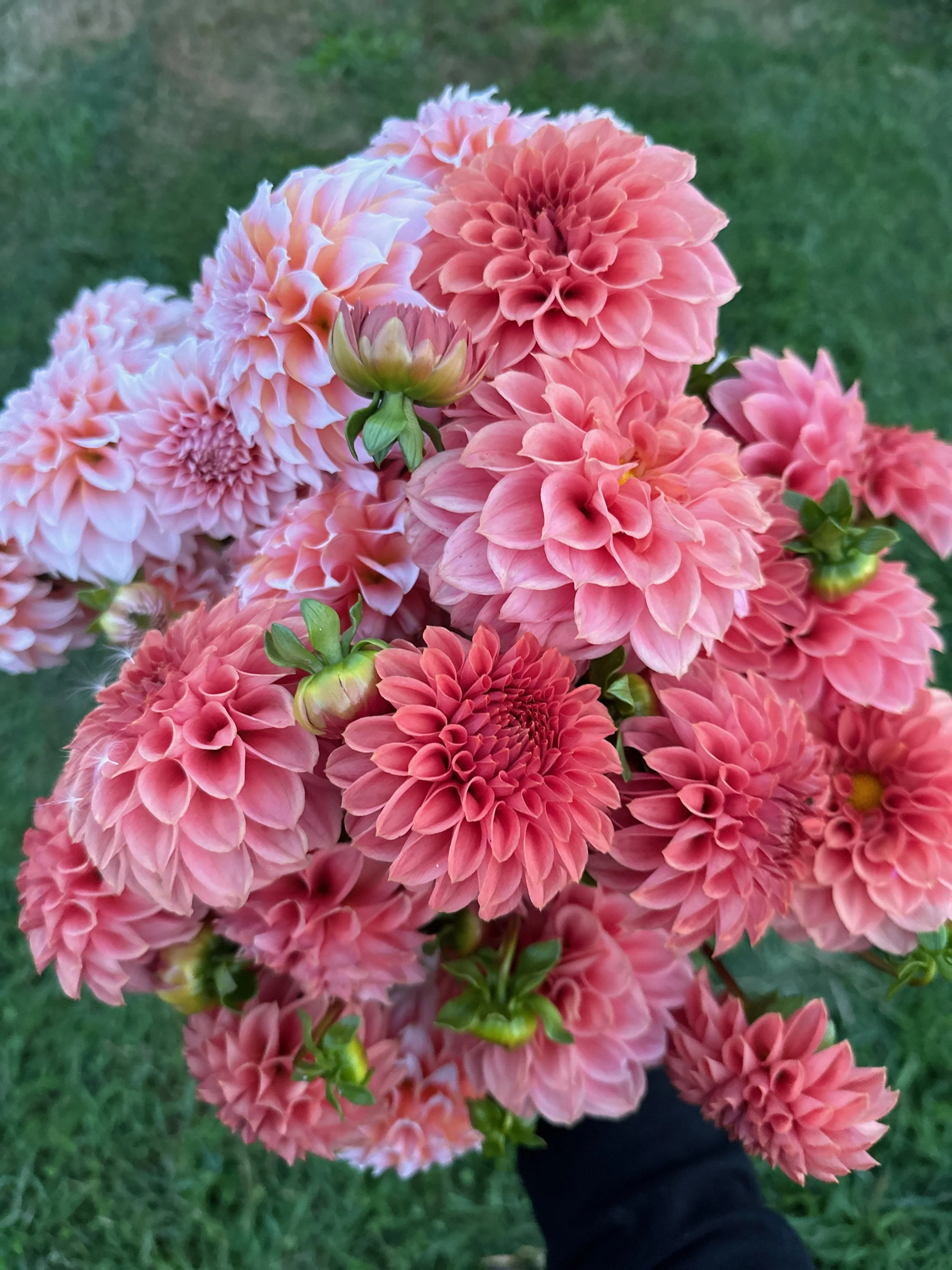 2026 SHARED Florist Photos - 15 of 39.jpg