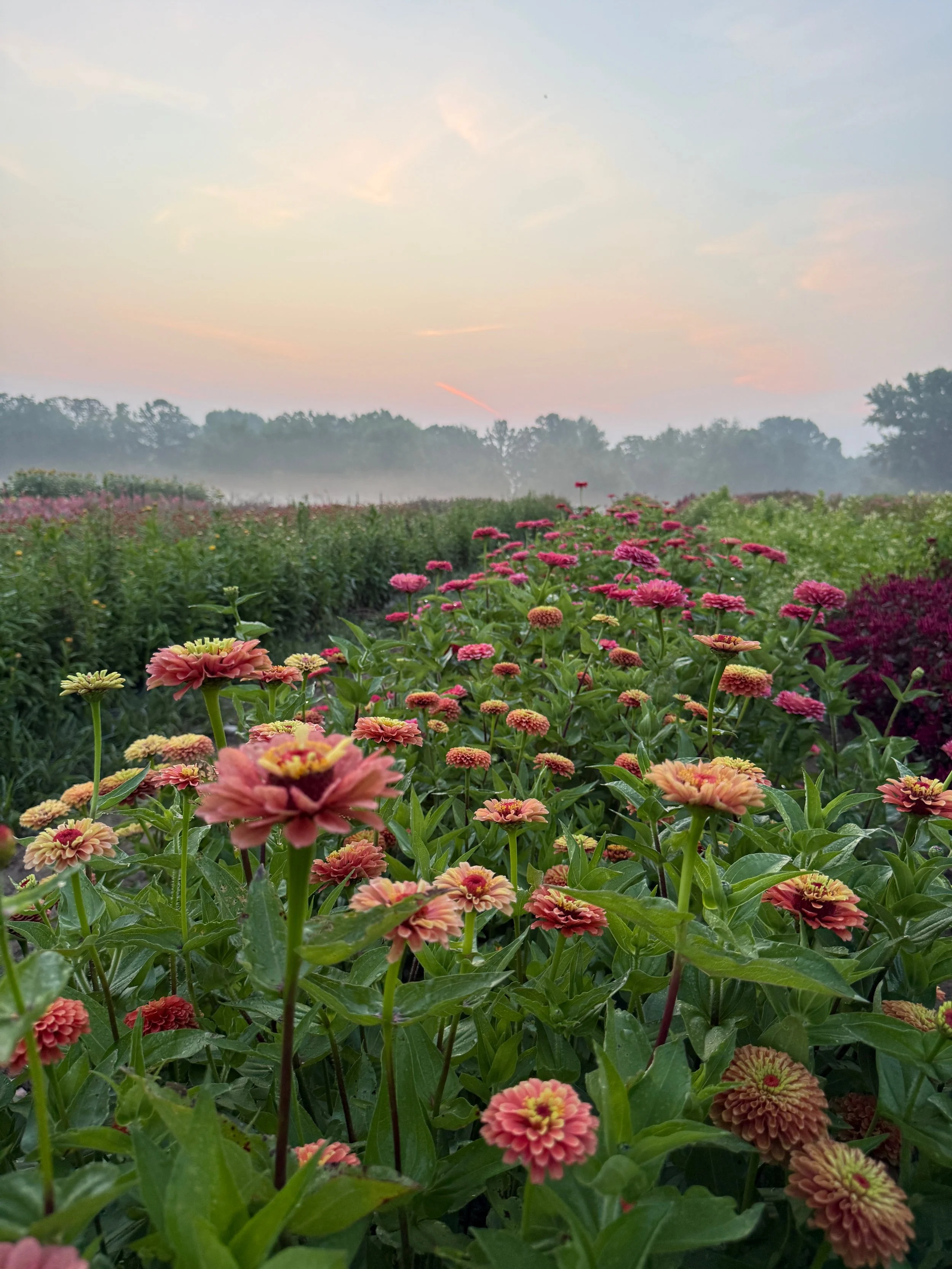 2026 SHARED Florist Photos - 18 of 39.jpg