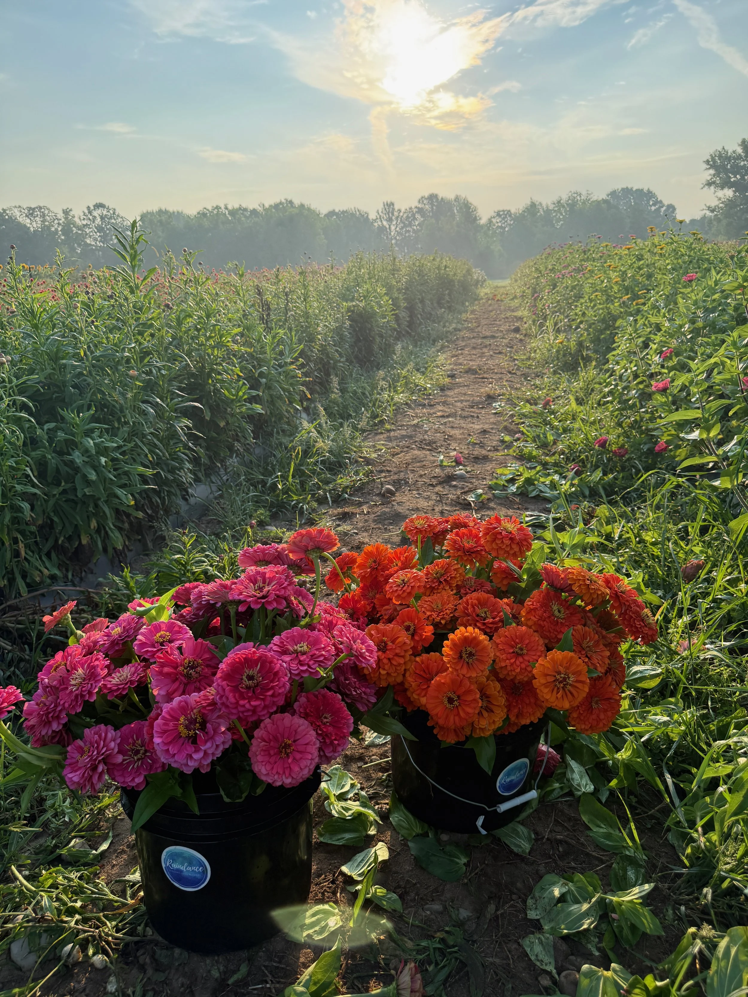 2026 SHARED Florist Photos - 20 of 39.jpg