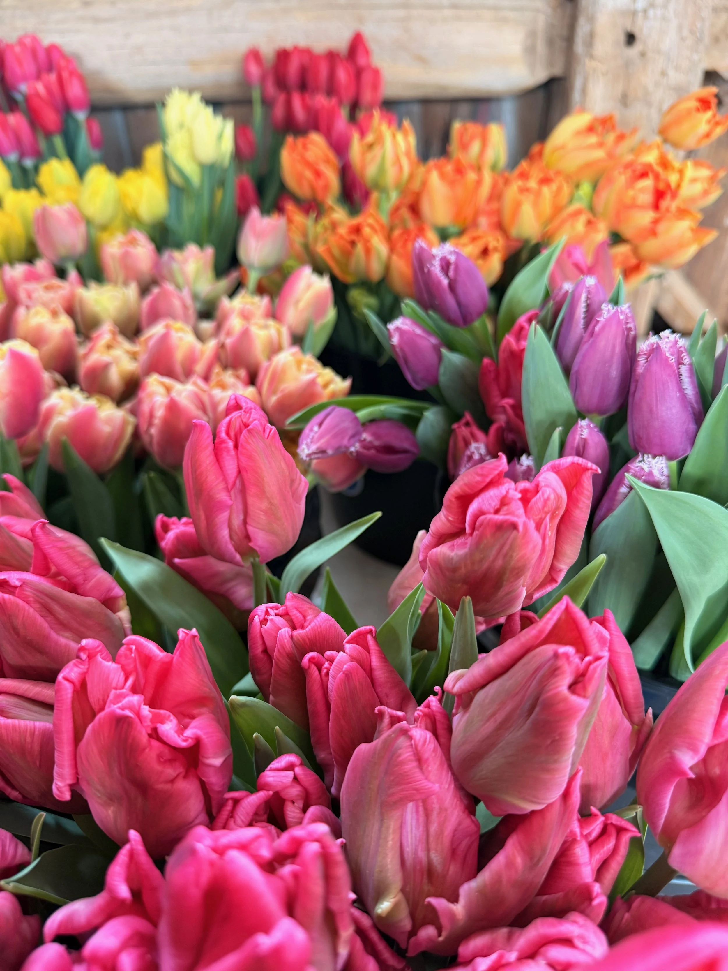2026 SHARED Florist Photos - 23 of 39.jpg