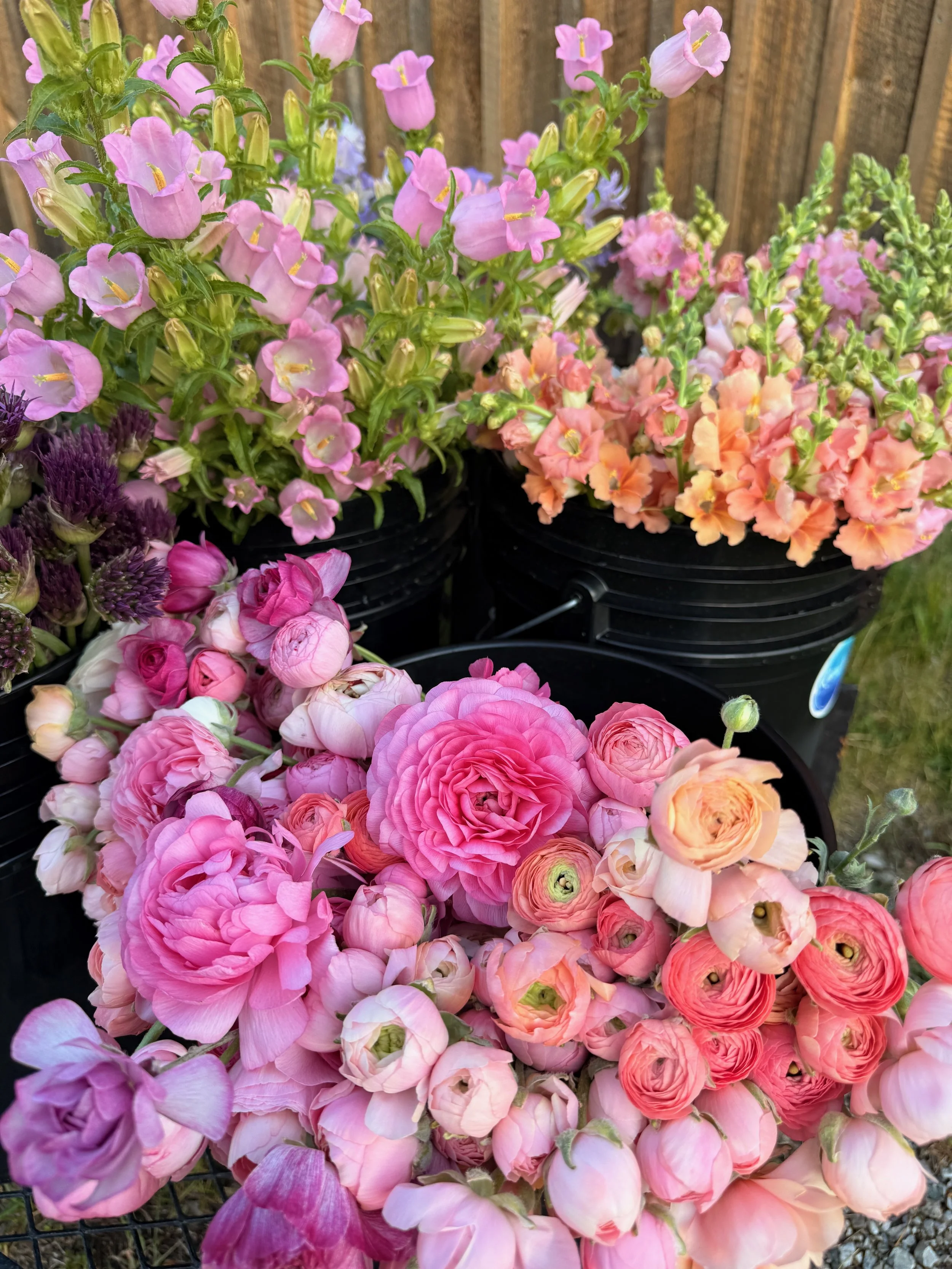 2026 SHARED Florist Photos - 36 of 39.jpg