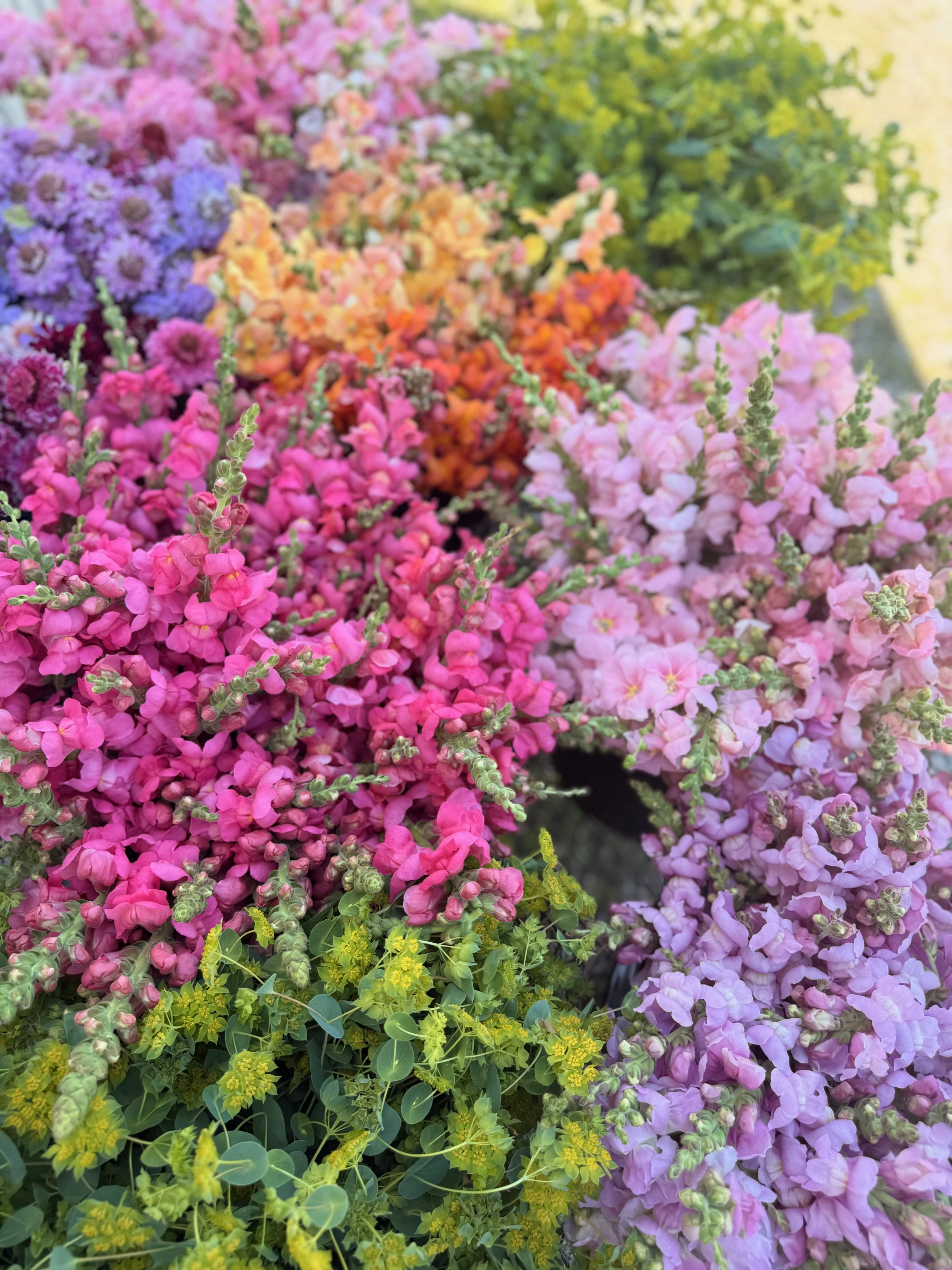2026 SHARED Florist Photos - 39 of 39.jpg