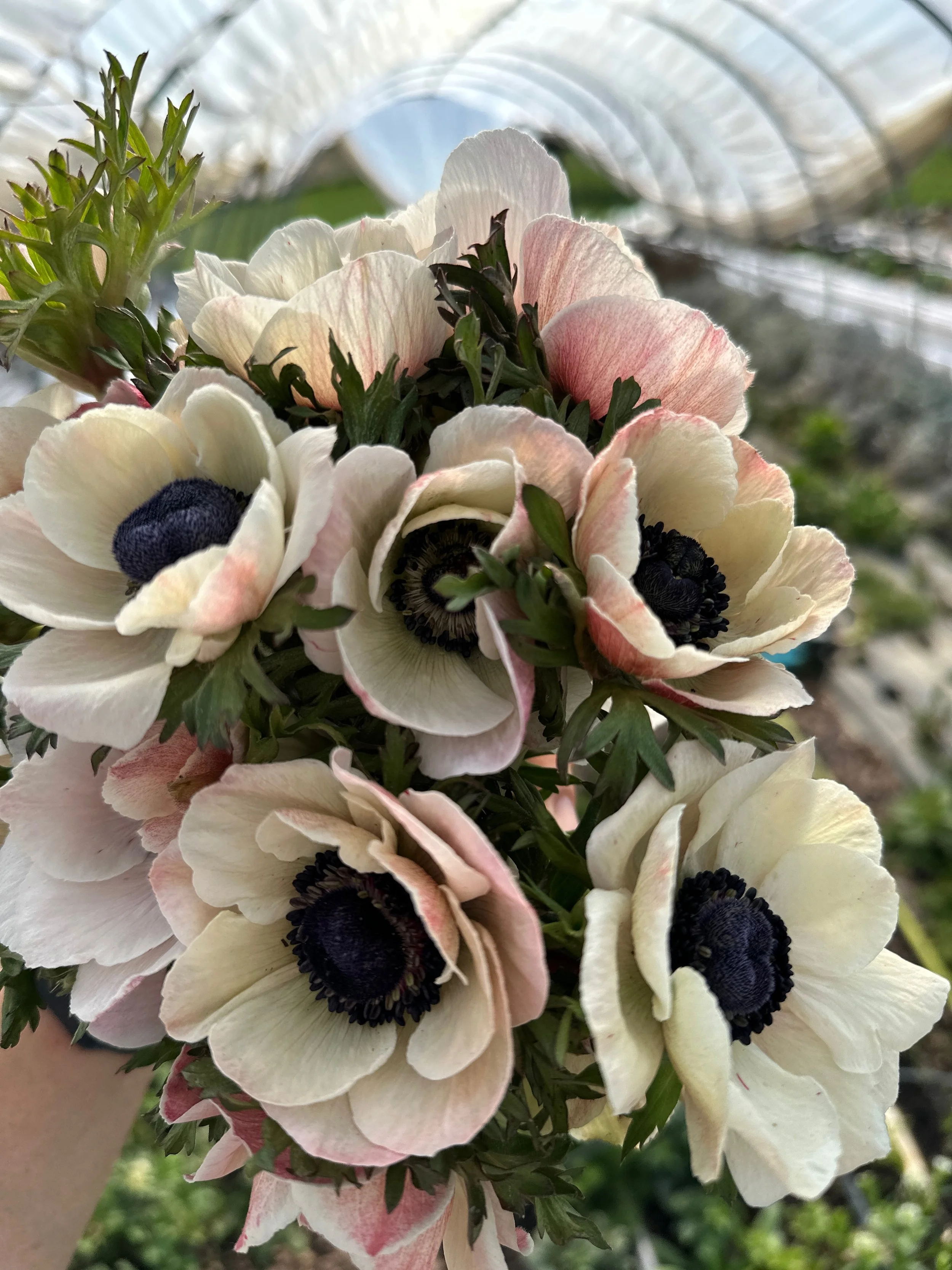 2026 SHARED Florist Photos - 2 of 39.jpg