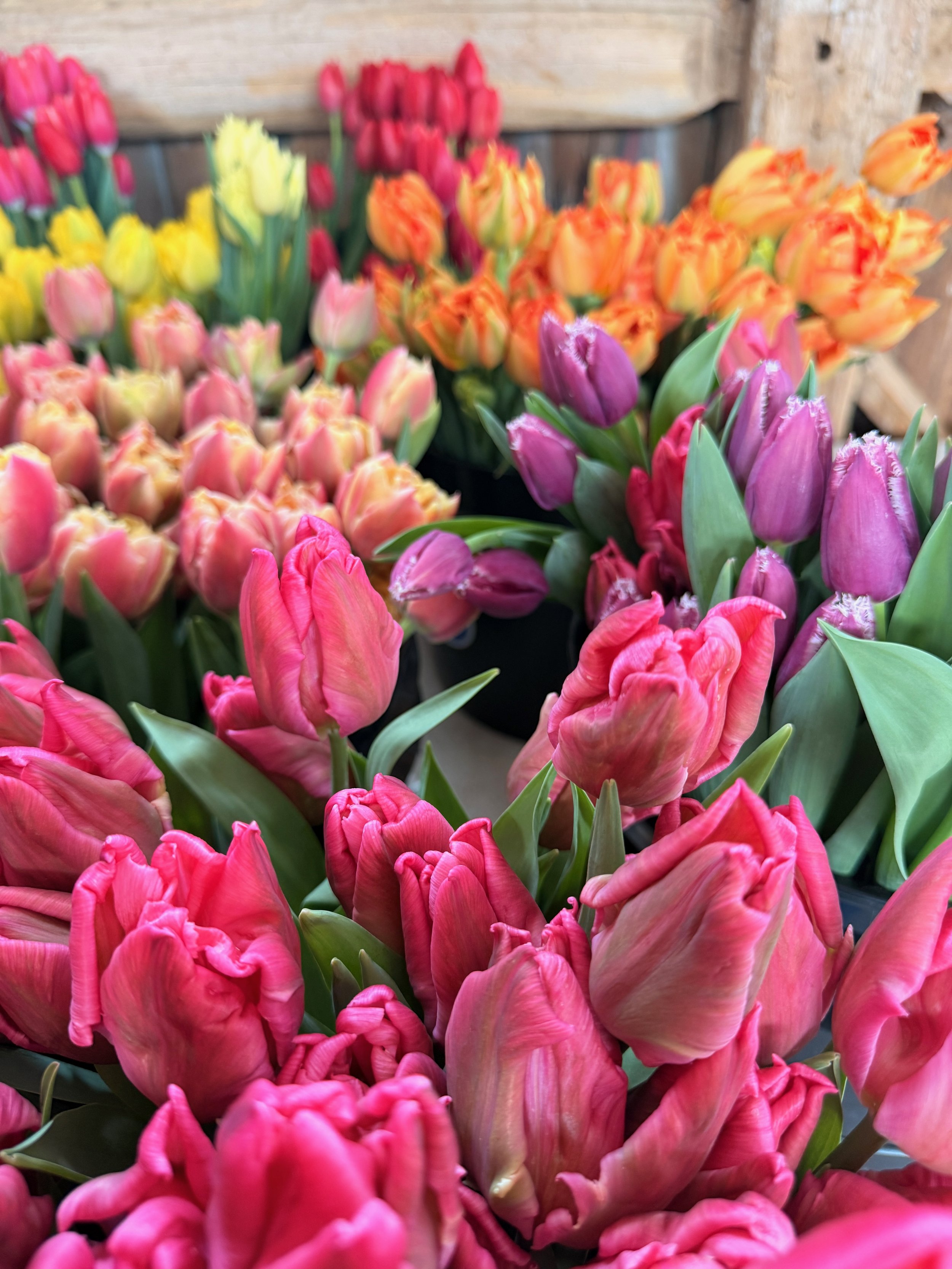 2026 SHARED Florist Photos - 23 of 39.jpg
