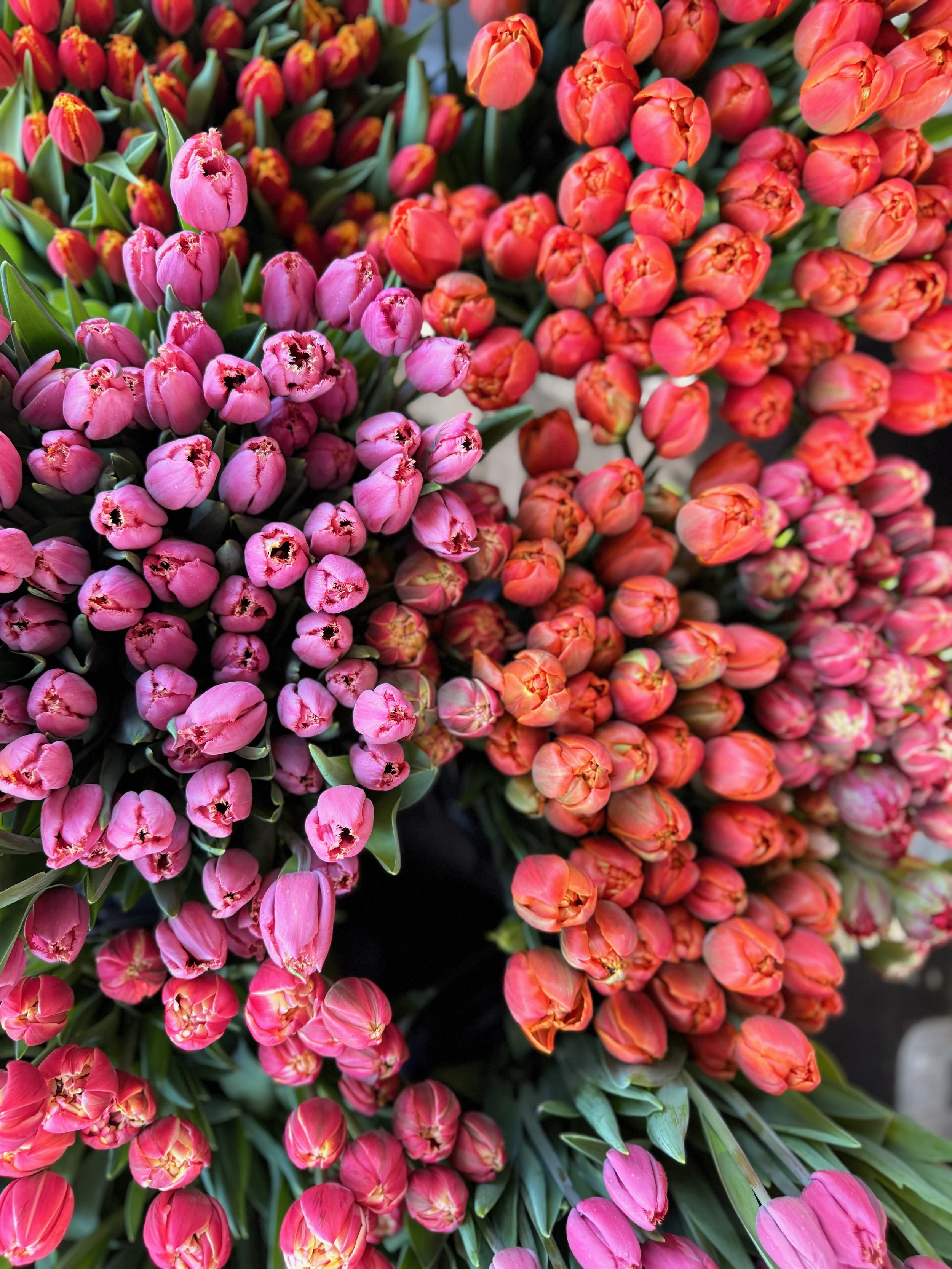 2026 SHARED Florist Photos - 24 of 39.jpg