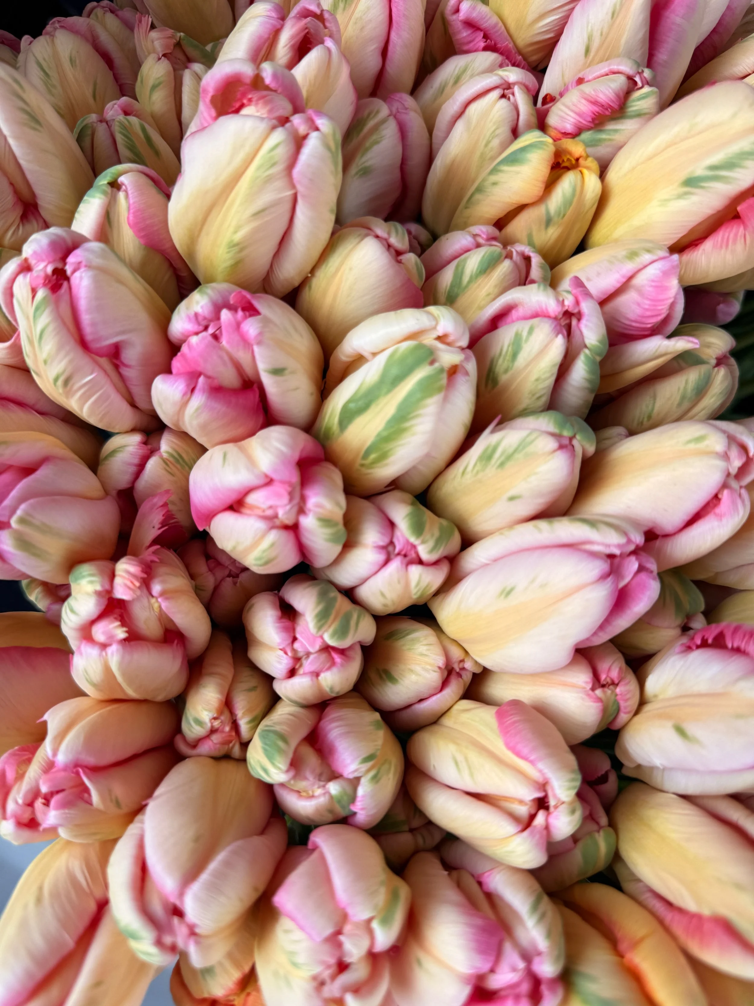 2026 SHARED Florist Photos - 34 of 39.jpg