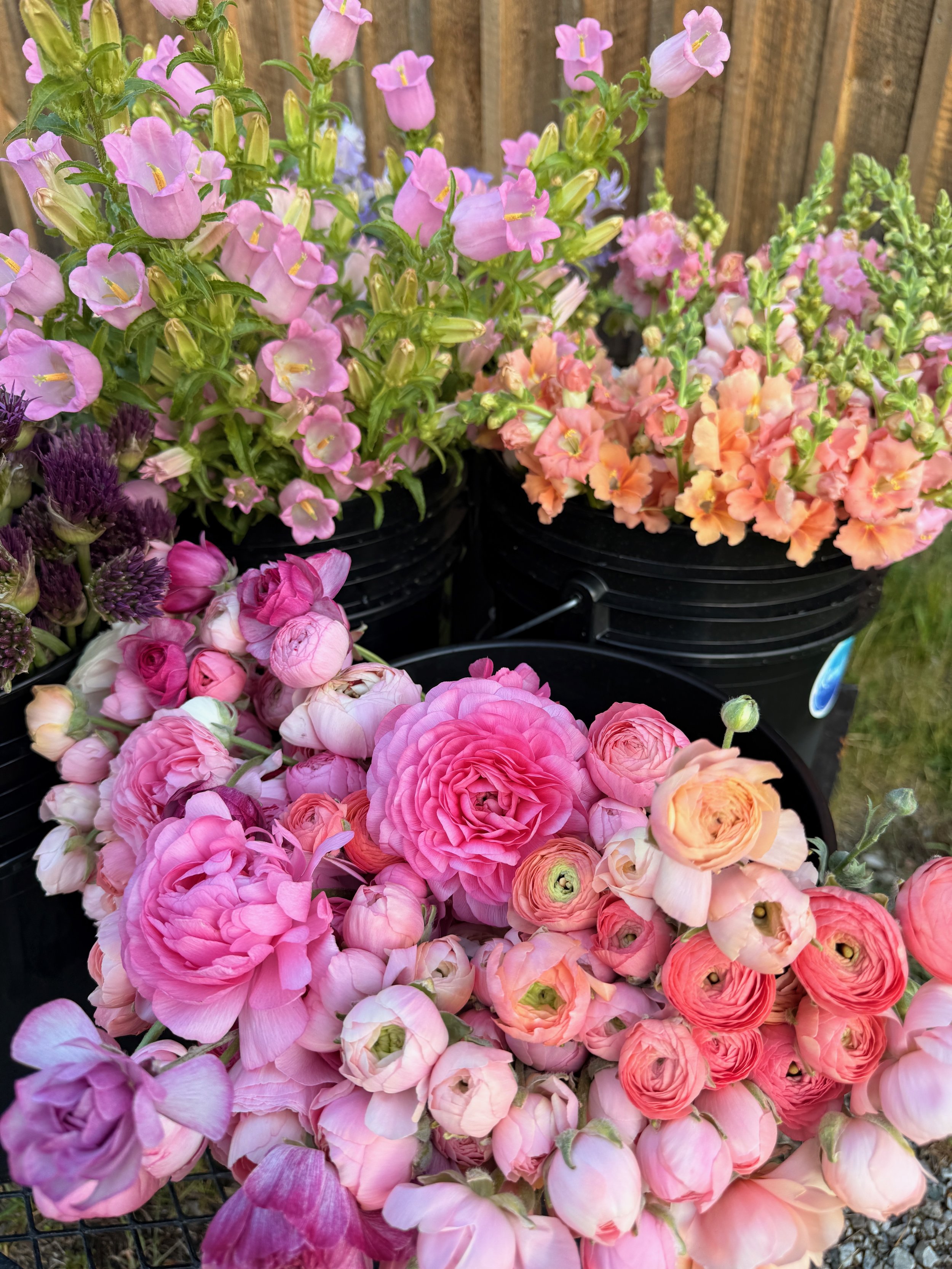 2026 SHARED Florist Photos - 36 of 39.jpg