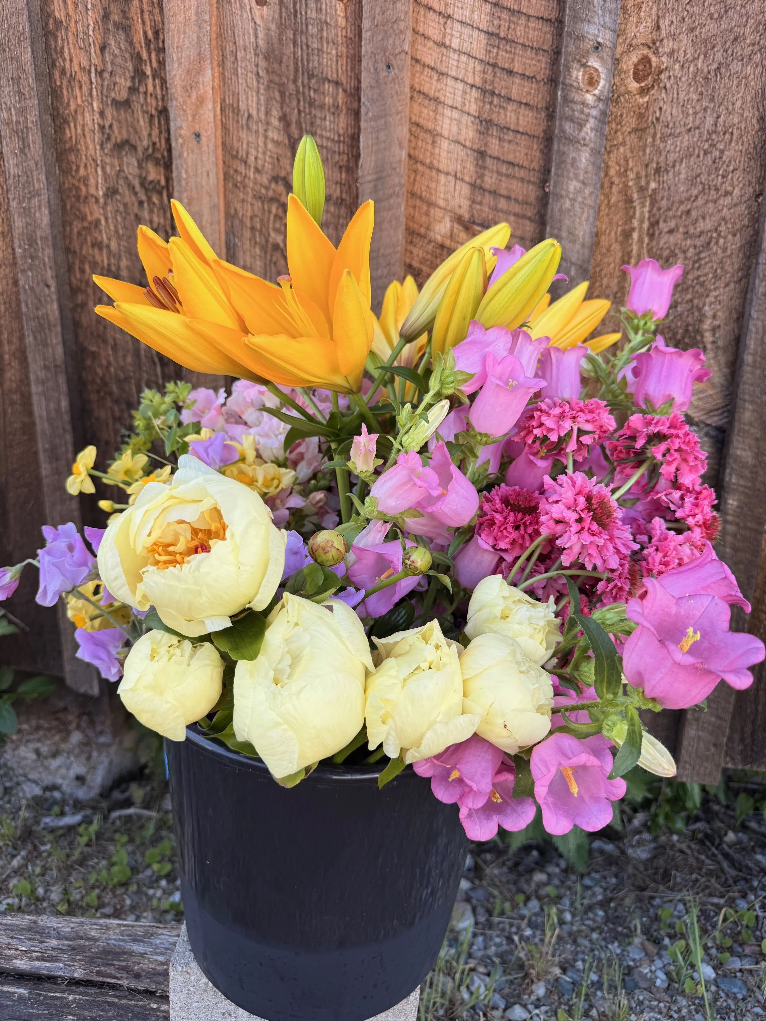 BUCKETS of BLOOMS - 8 of 8.jpeg
