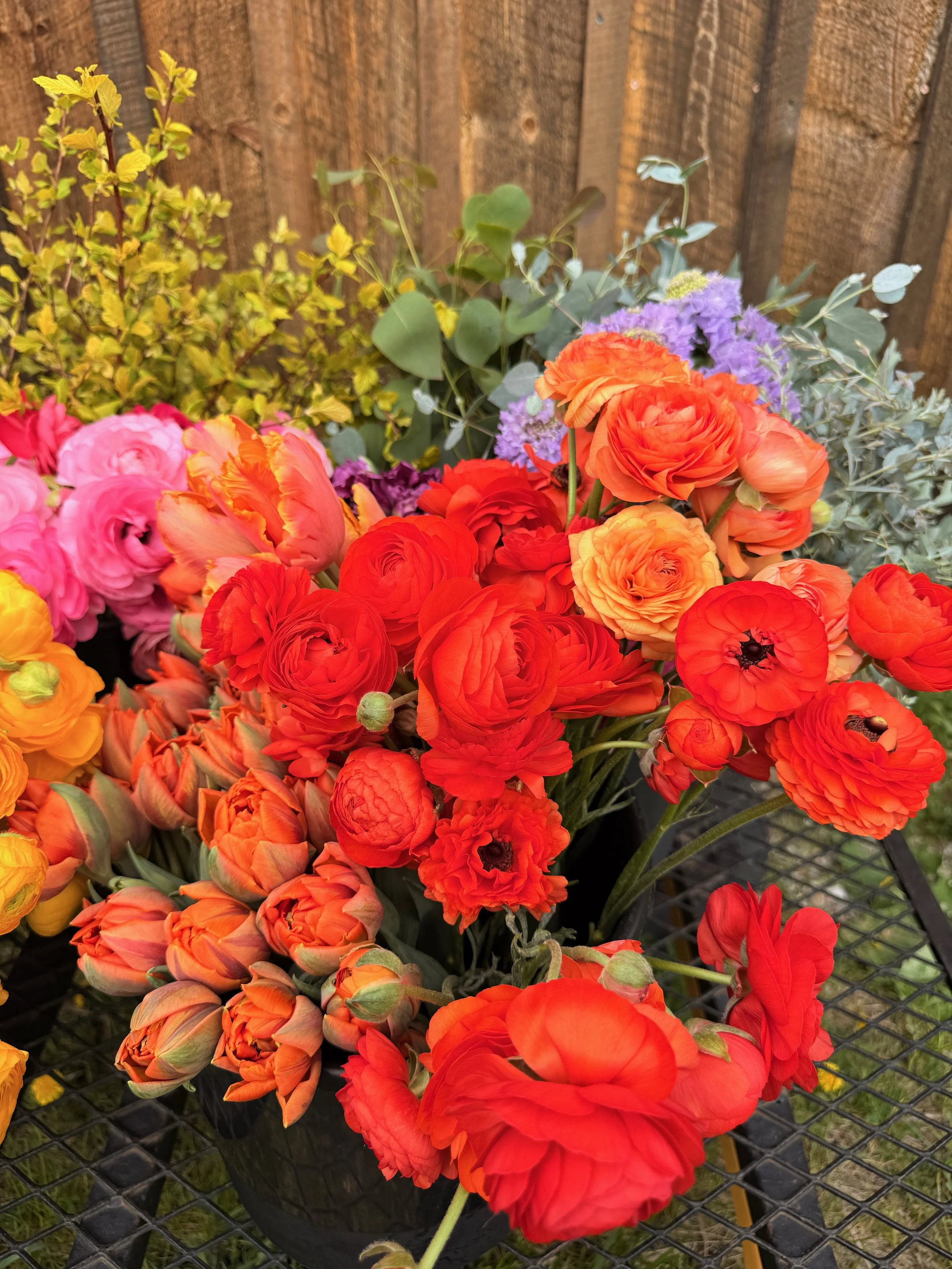 BUCKETS of BLOOMS - 4 of 8.jpeg