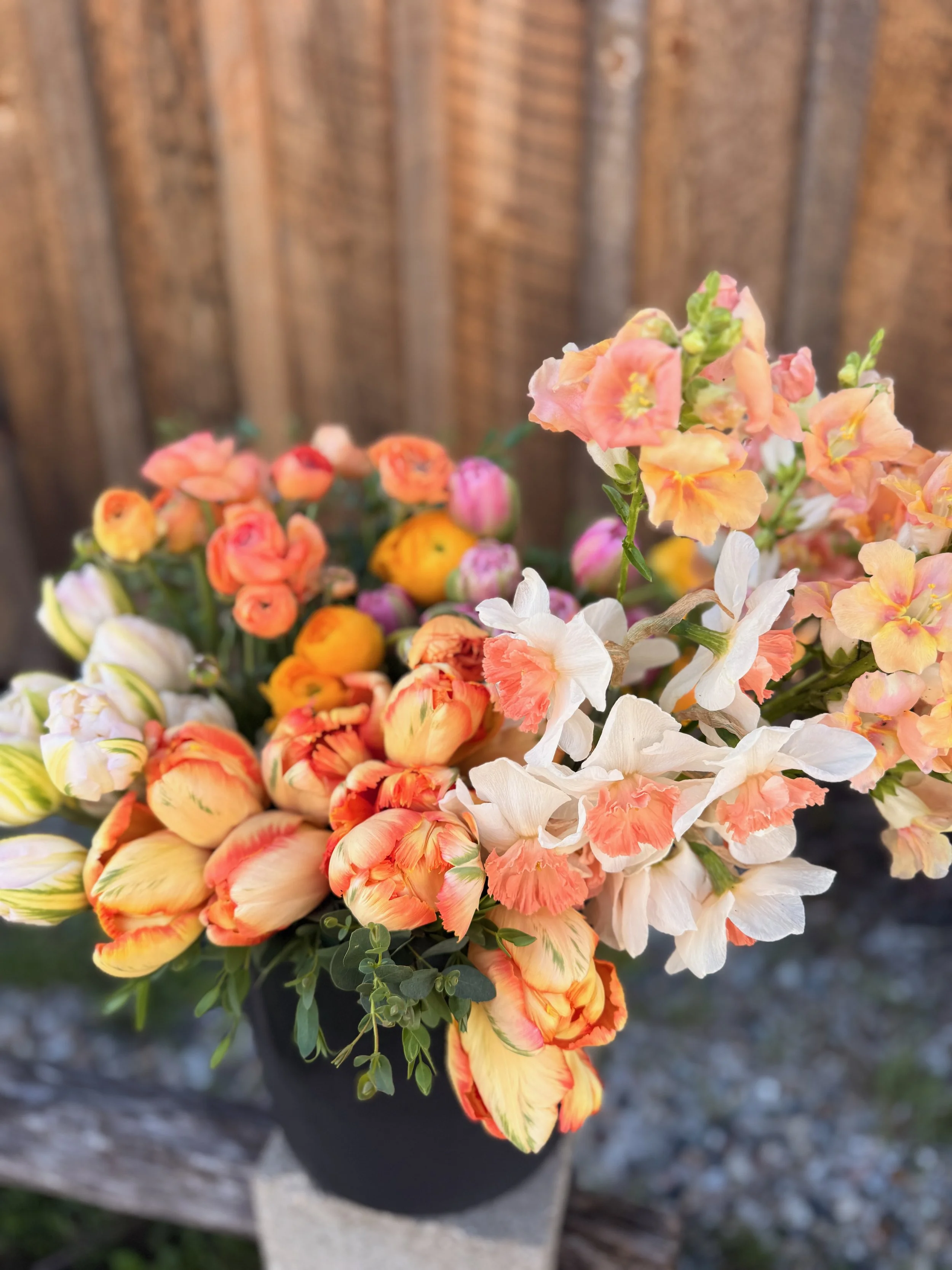 BUCKETS of BLOOMS - 1 of 8.jpeg