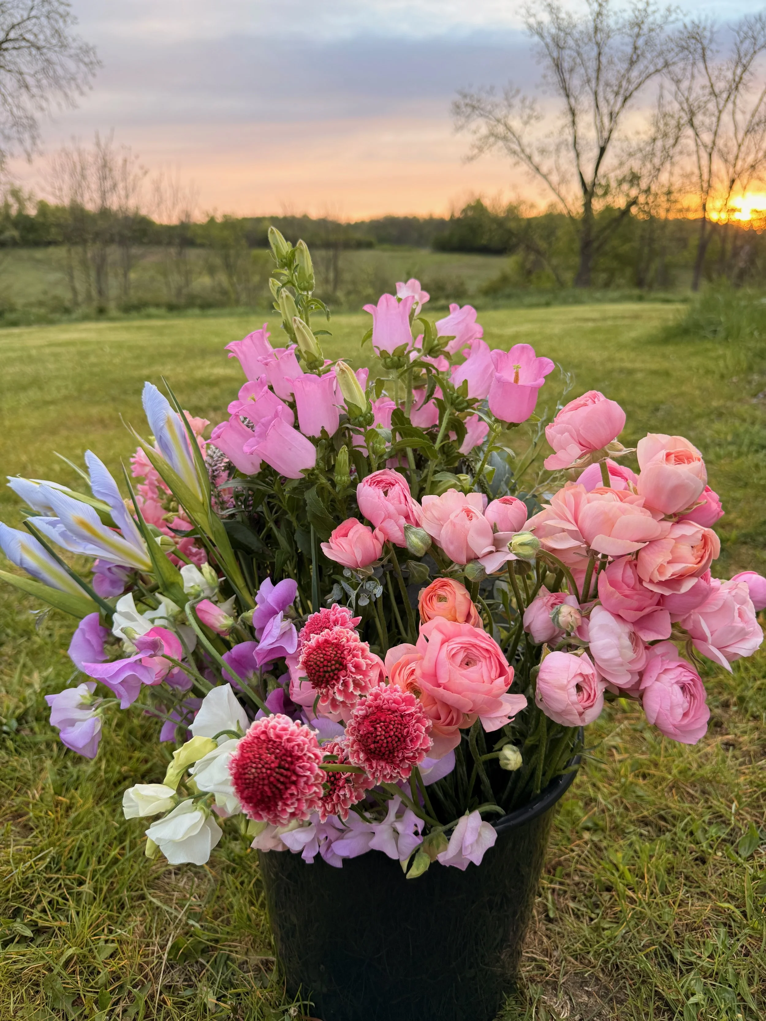 BUCKETS of BLOOMS - 7 of 8.jpeg