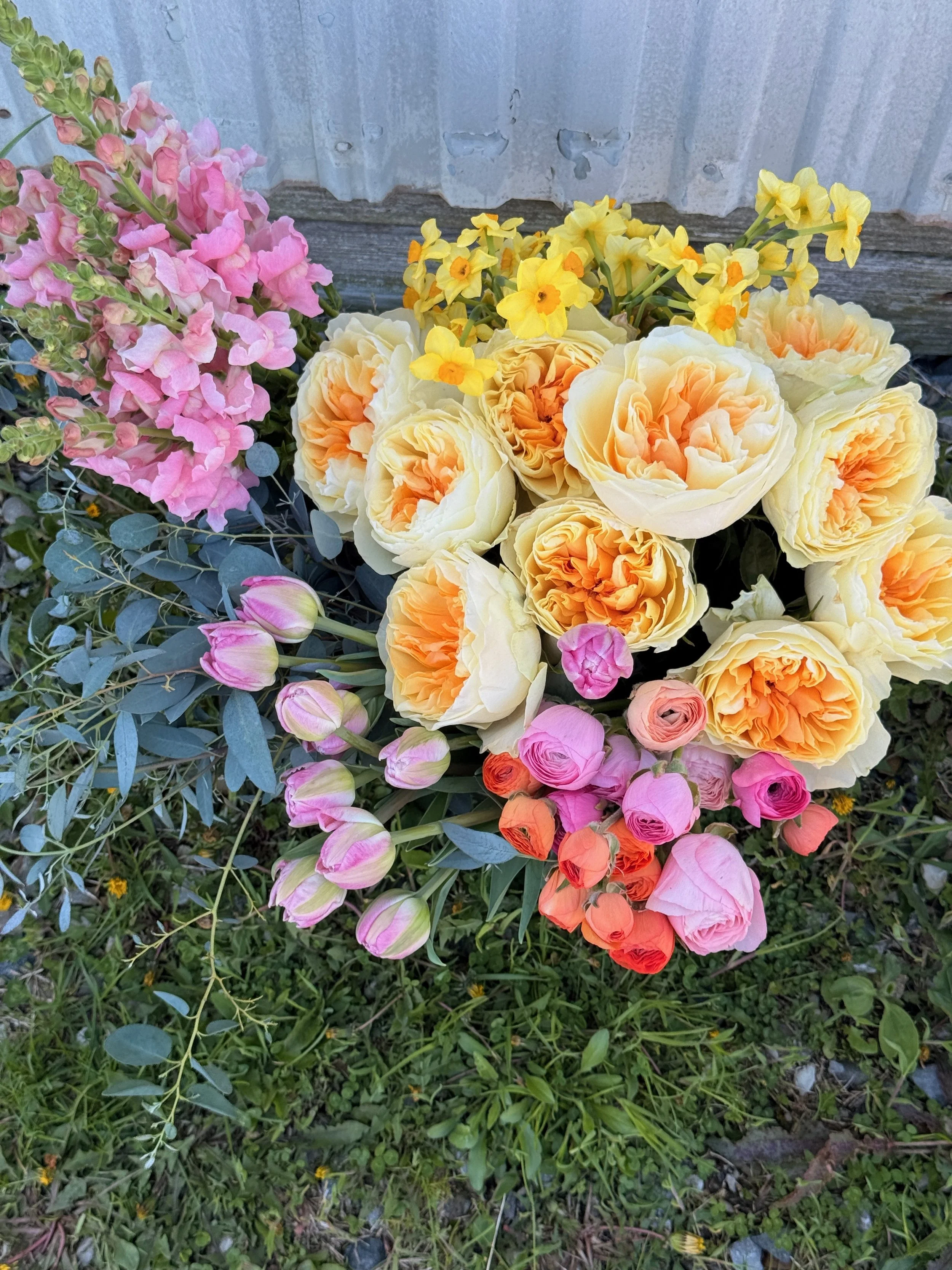 BUCKETS of BLOOMS - 5 of 8.jpeg