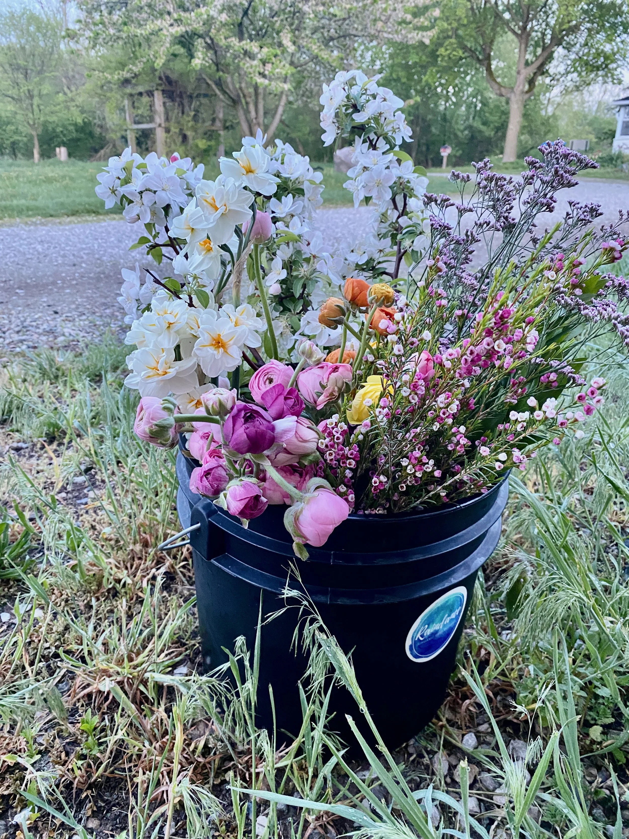 Bulk Bucket of Blooms for DIY - 2 of 6.jpeg