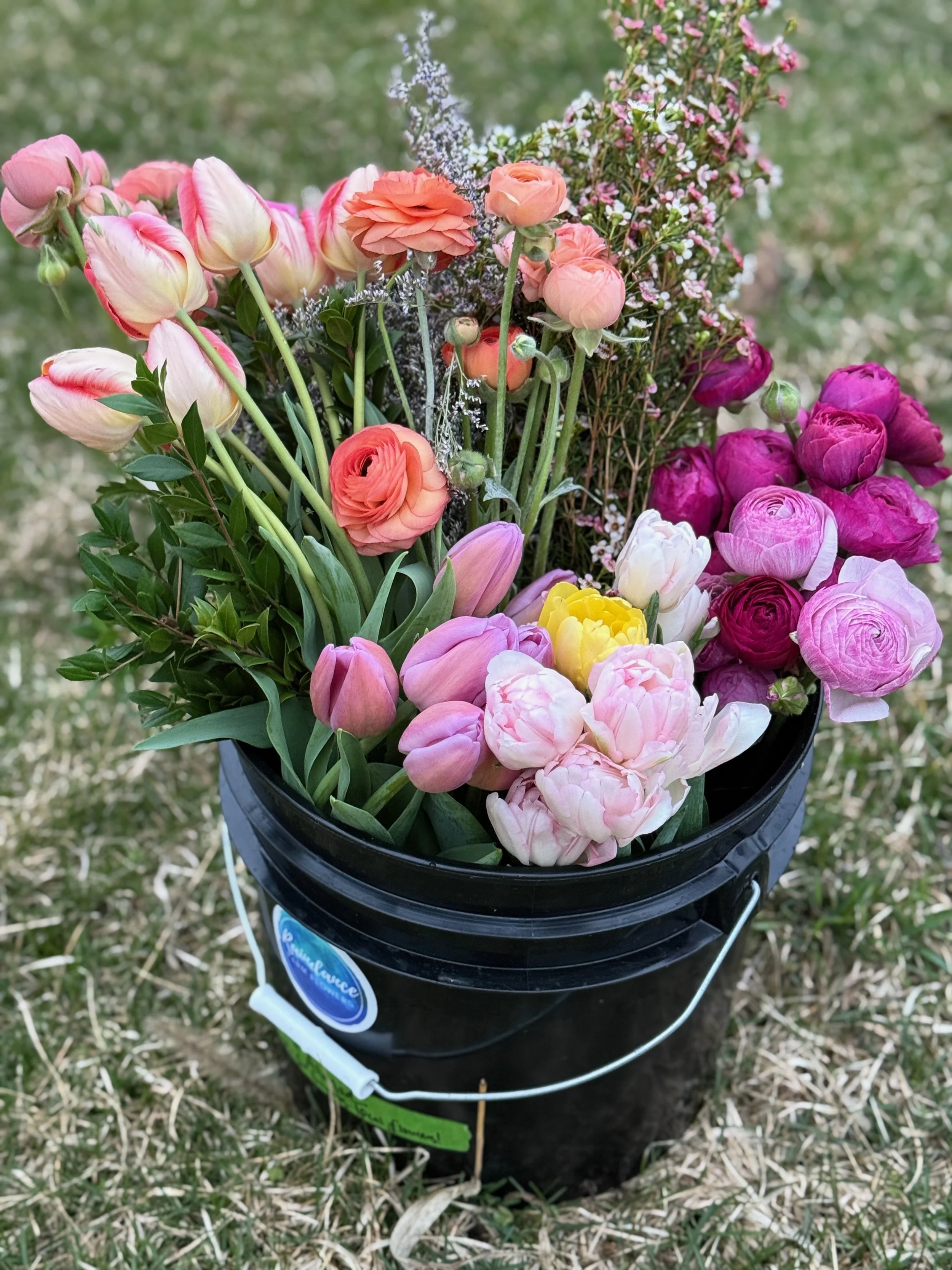 Bulk Bucket of Blooms for DIY - 3 of 6.jpeg