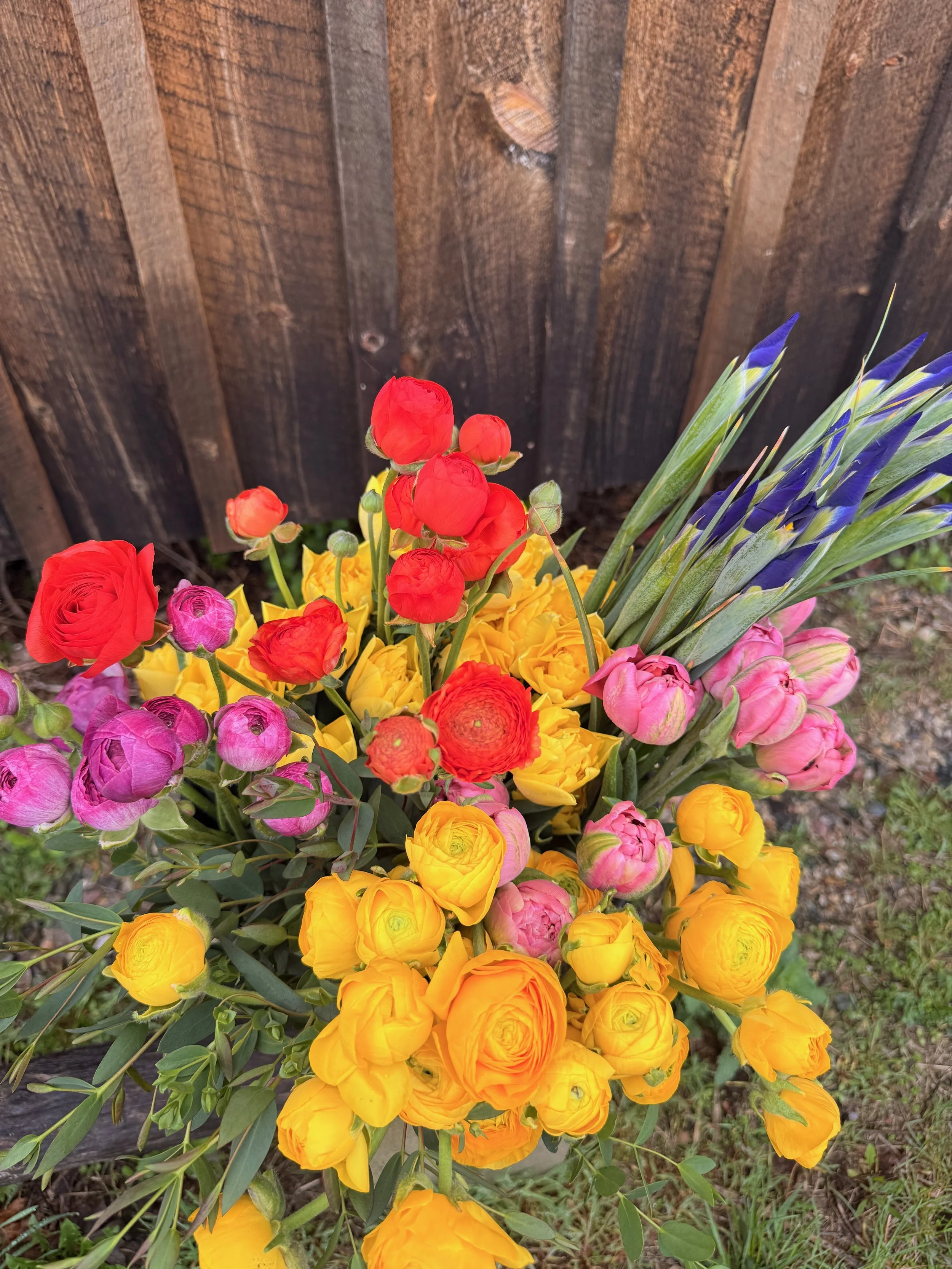 BUCKETS of BLOOMS - 2 of 8.jpeg