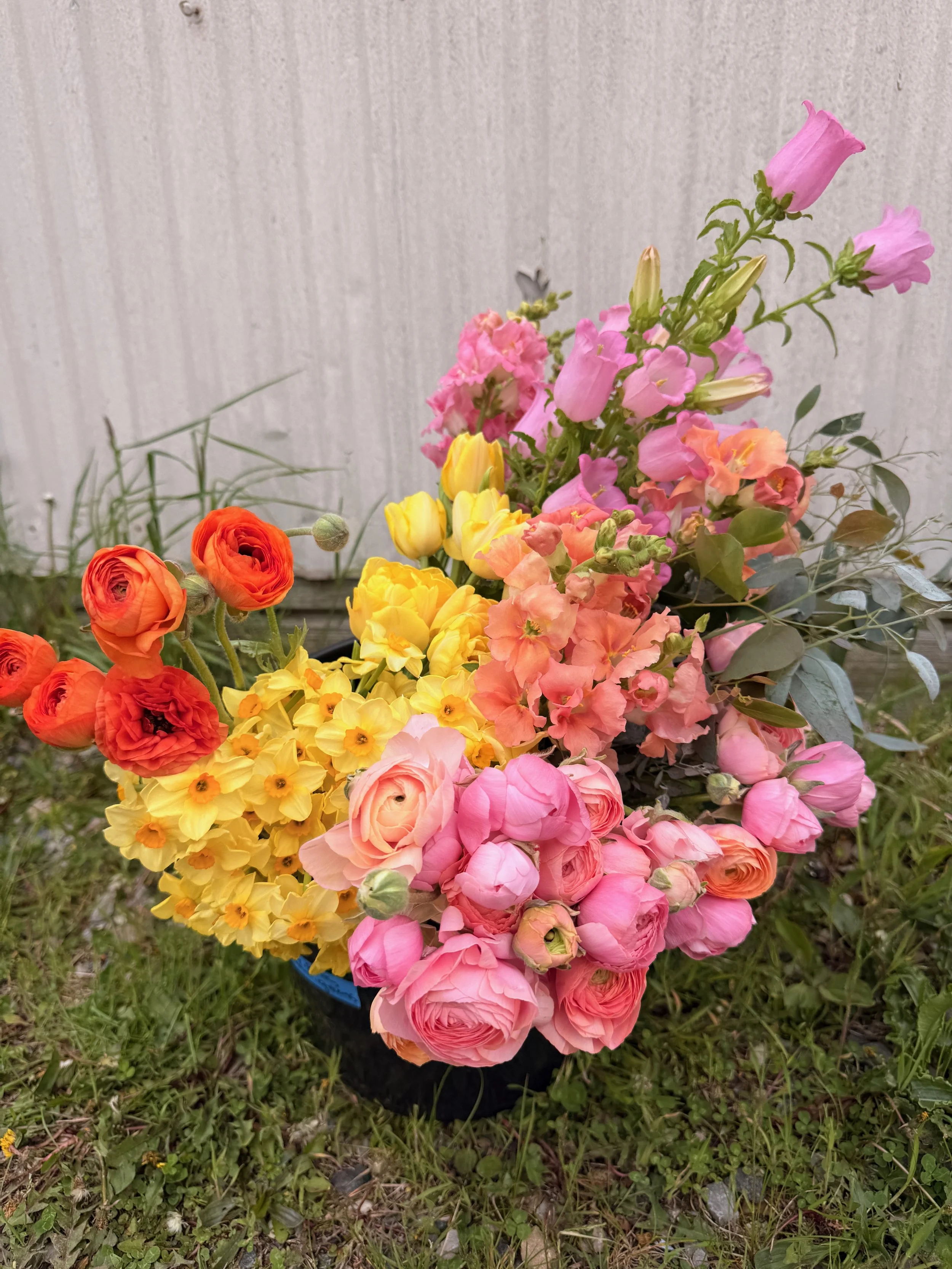 BUCKETS of BLOOMS - 6 of 8.jpeg
