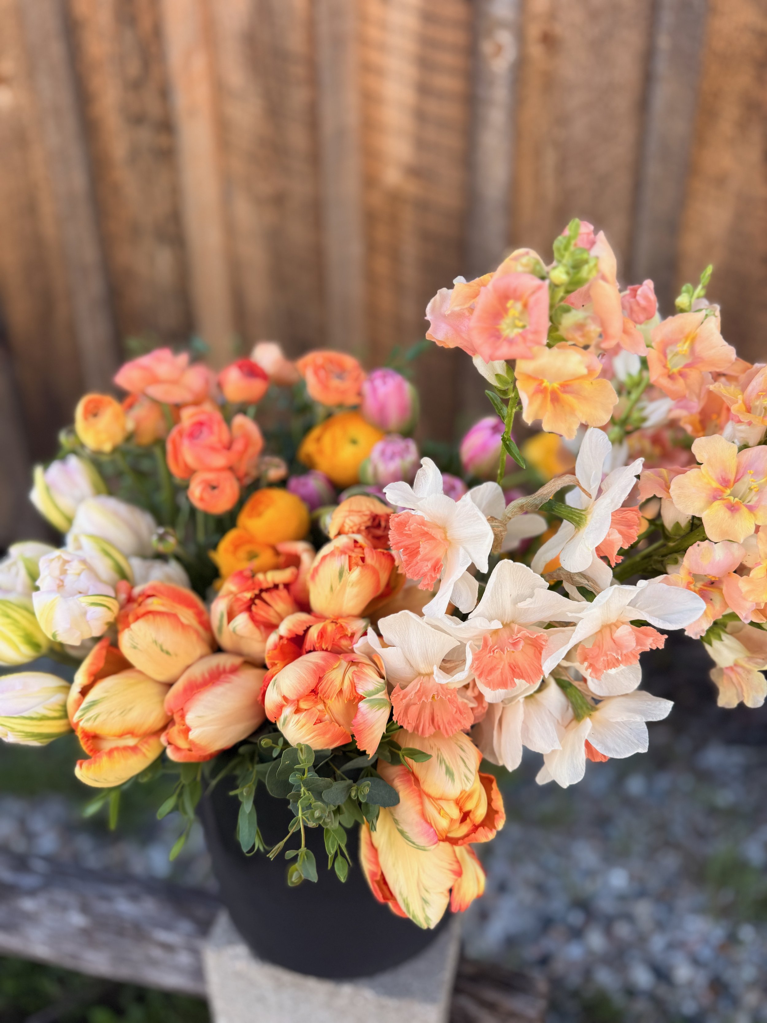 BUCKETS of BLOOMS - 1 of 8.jpeg