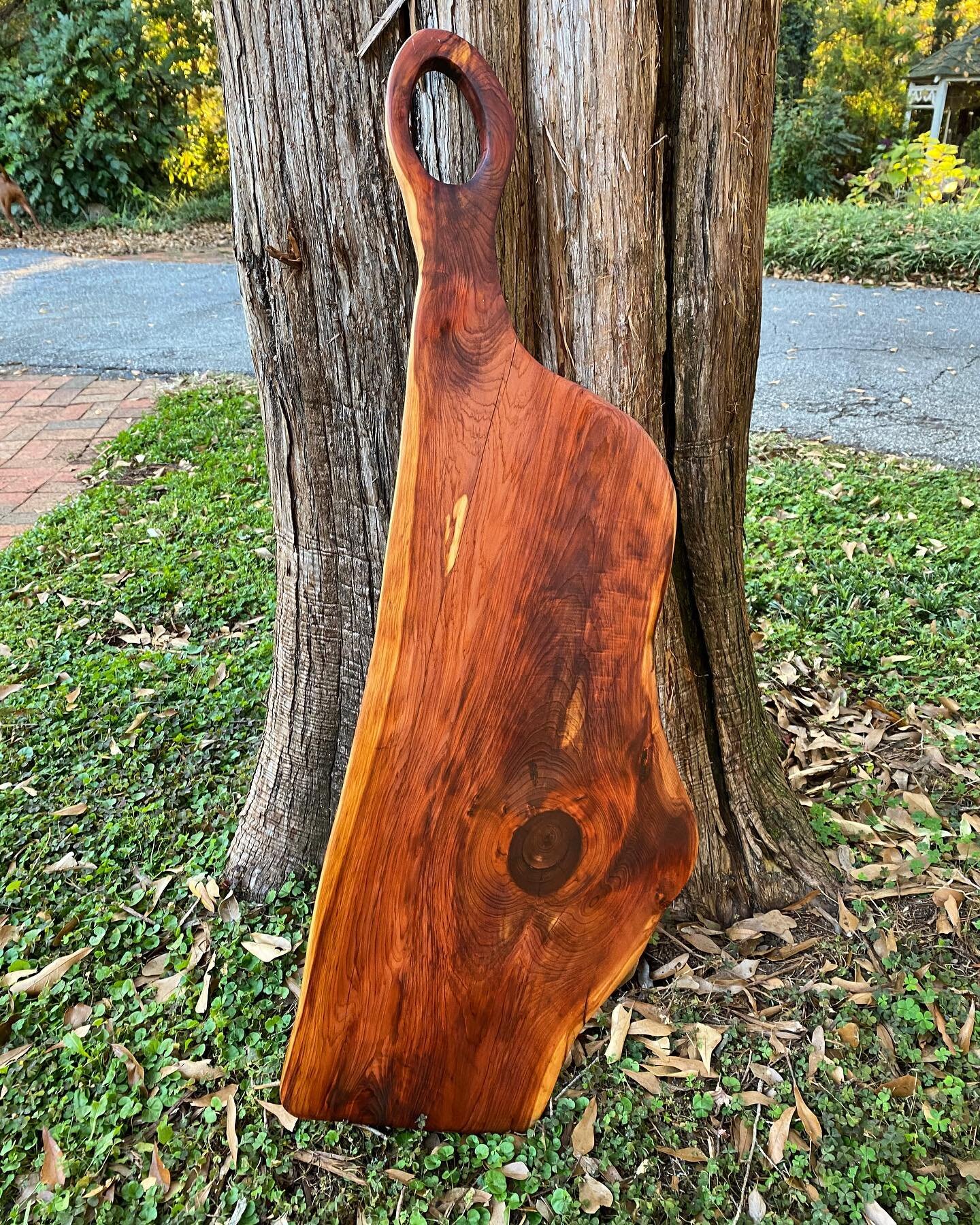 Another charcuterie is done and has a new home. Liking the handle shape combined with the live edge. 

📍Cedar charcuterie board 
🌲 Live edge 
💭 Custom sizes and shapes available
🖥 Message me for ordering info