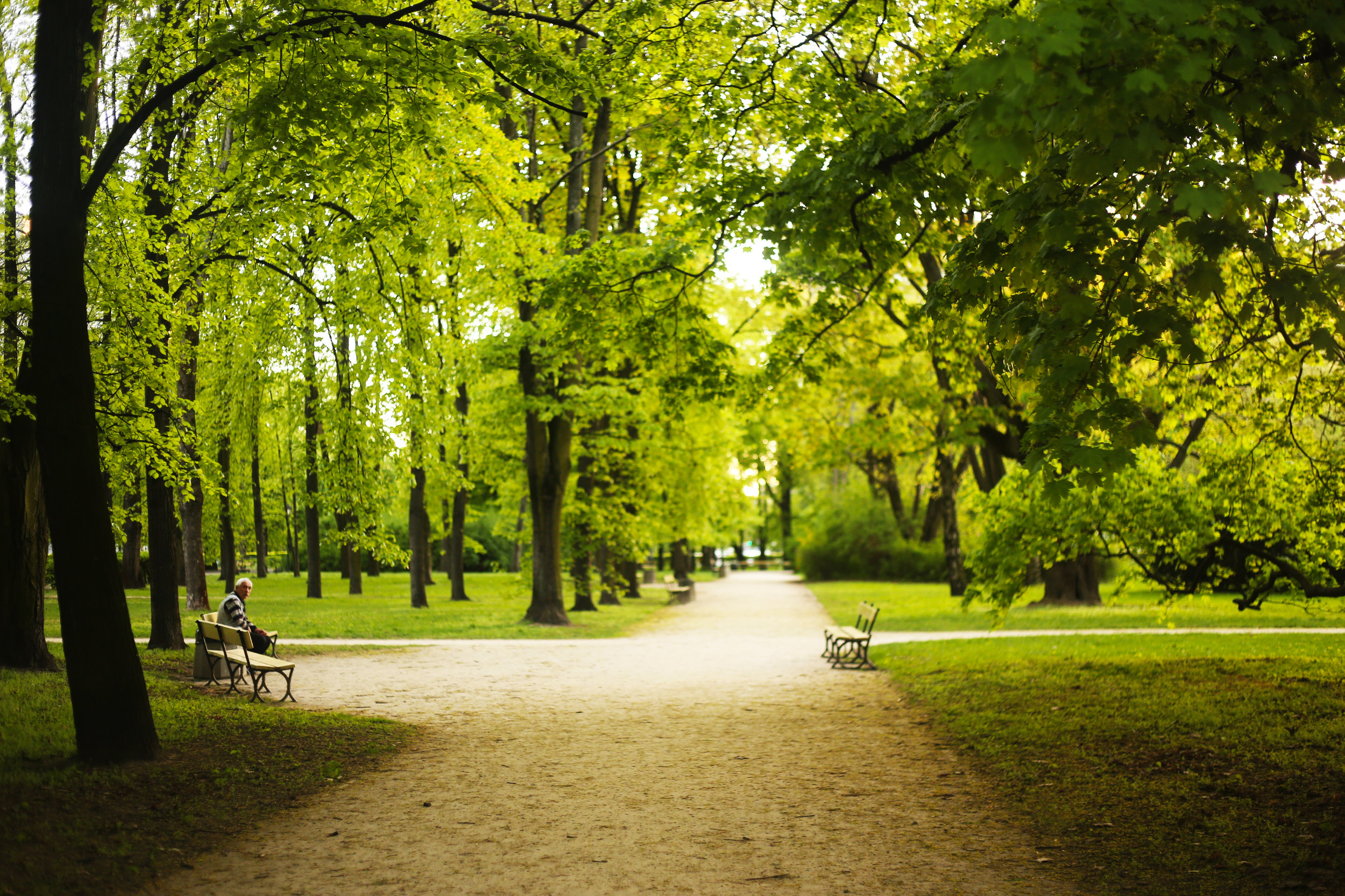 walk in the park.jpg