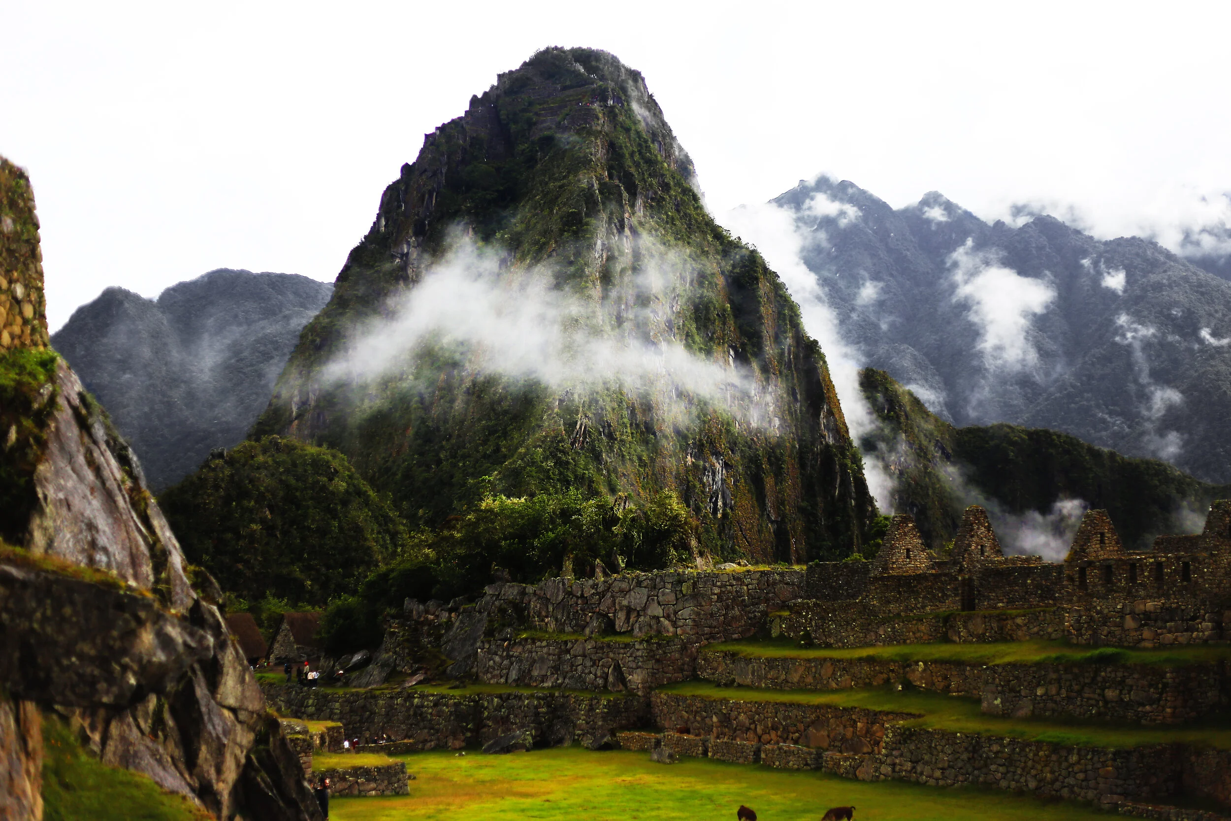 machu 1.jpg