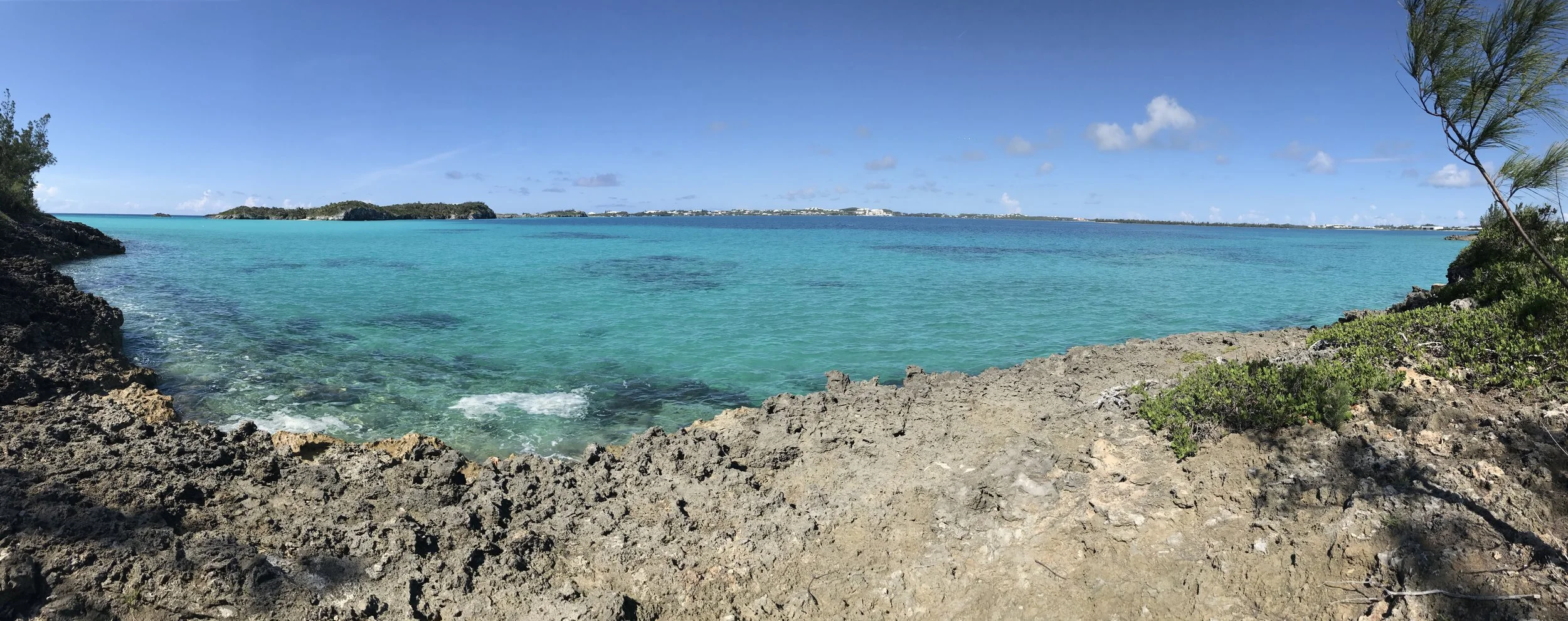 IMG_3354 edited smaller.JPG