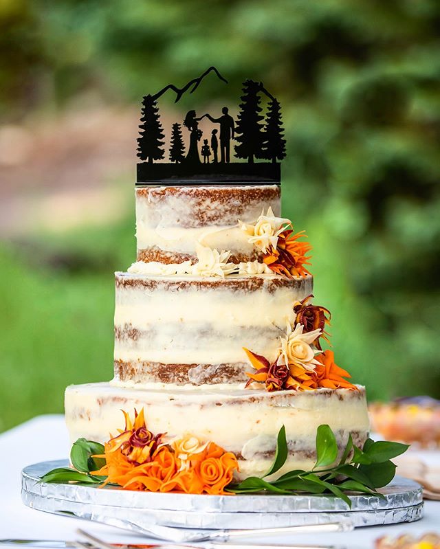 Here&rsquo;s a super cool cake (and topper) to start your weekend! 🤩🍰
.
. 
Cake Maker: @sugar_and_seeds @magski303 
#coloradowedding #wedwestslope #grandjunctionweddings #iamgj #visitgrandjunction #westslopebestslope #coloradonationalmonument #gjco