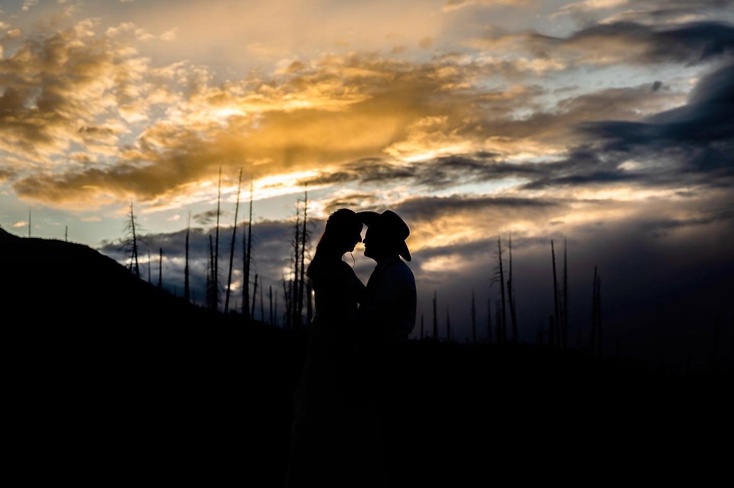 Wedding photography has taken me to some pretty gorgeous places over the last 10 years, and @trapperslakelodge now ranks near the top of the list!  Full blog post coming soon of this beautiful destination mountain wedding! .
.
.
#trapperslake #flatto