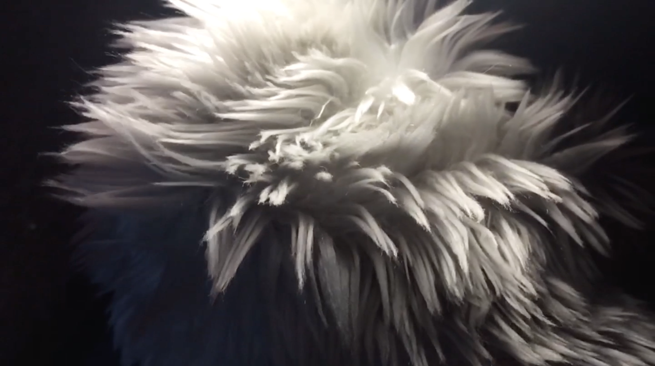  Explore the movement of furry cloth. 