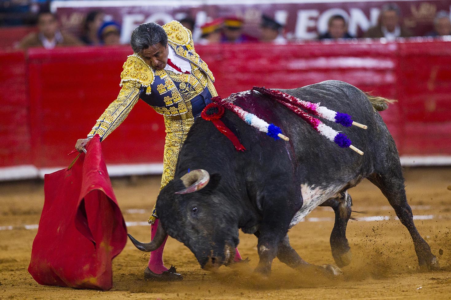 Bullfighting. Arena Mexico