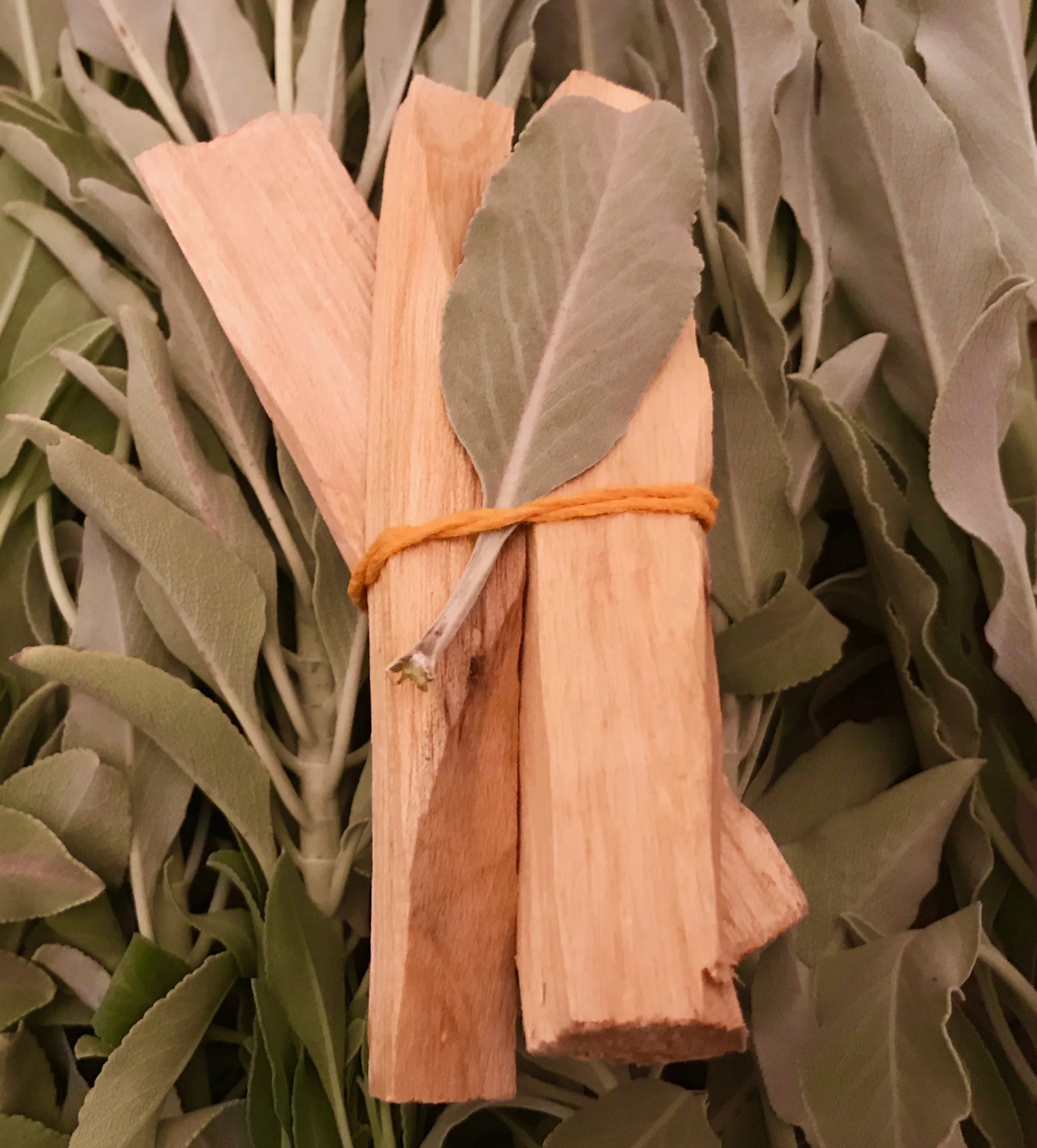 Palo Santo Trio