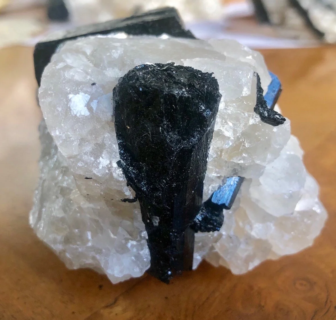 Black Tourmaline in Quartz Matrix