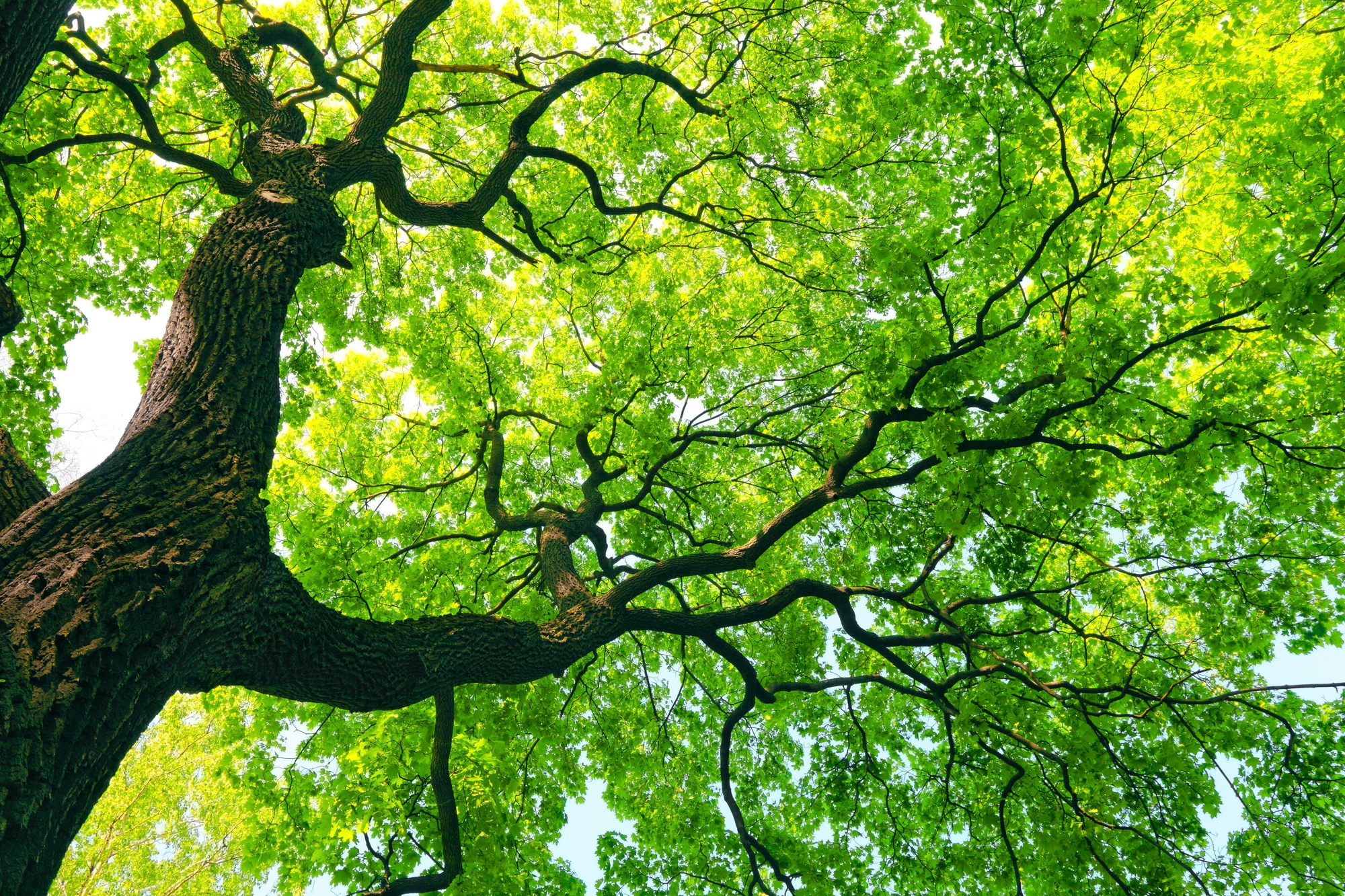 Depositphotos_10580418_l-2015.jpg