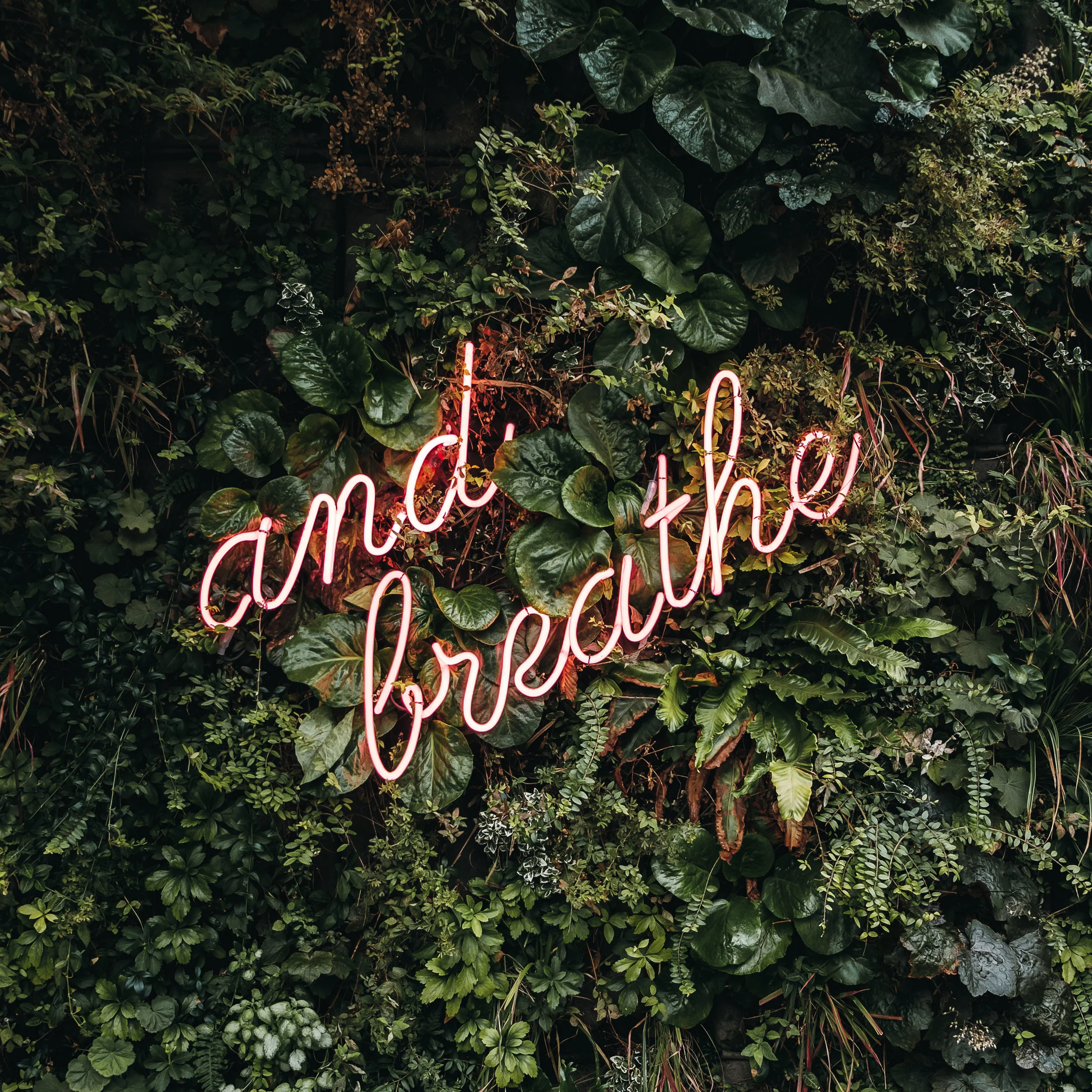 The Power of Breath!