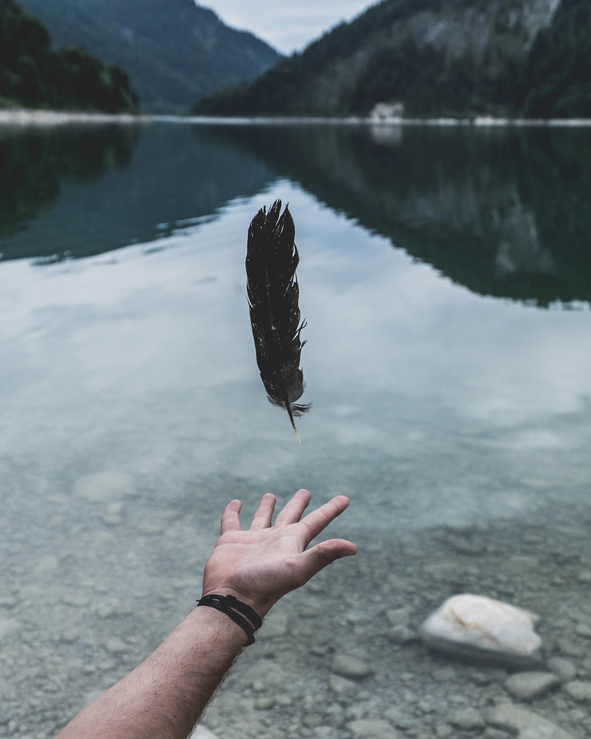 The Alchemy of Health