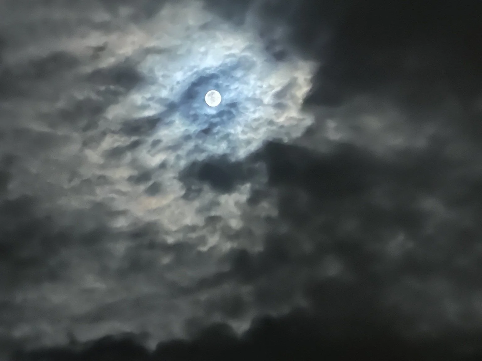 The moon shining through layered clouds in a blue-gray sky, photographed by Traci.