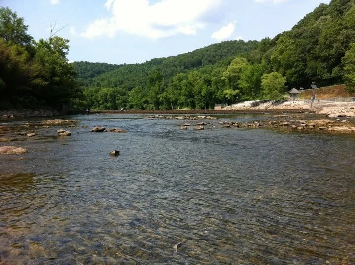 Clinch River.jpg