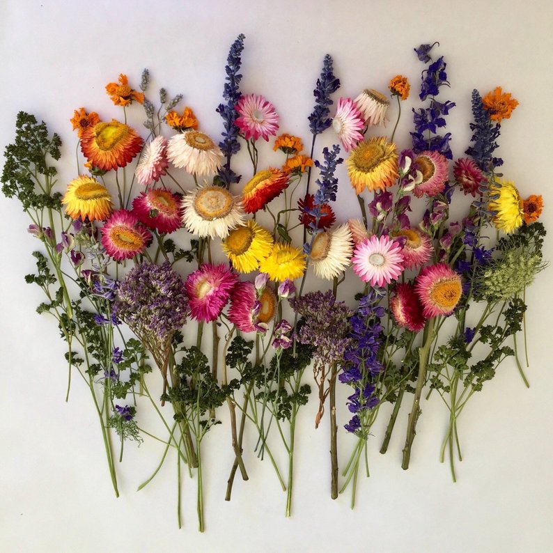 Favorite Dried Floral Resources — Lauren Koster Creative